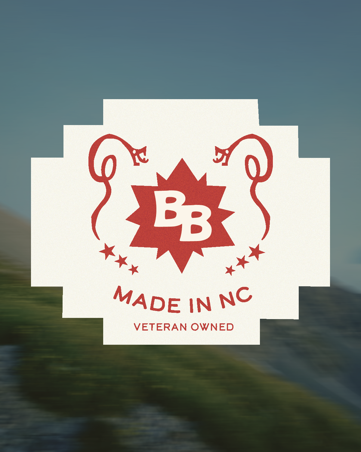 BB Social_ads2-02.png