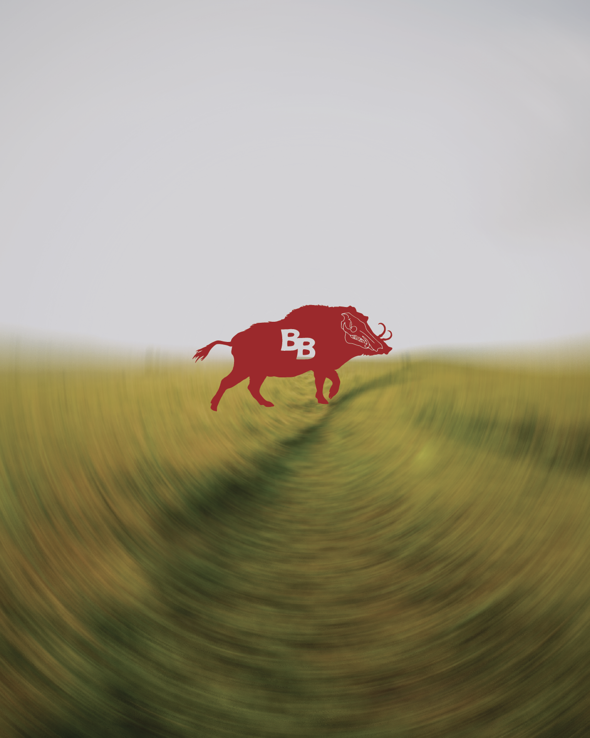 BB Social_ads2-01.png