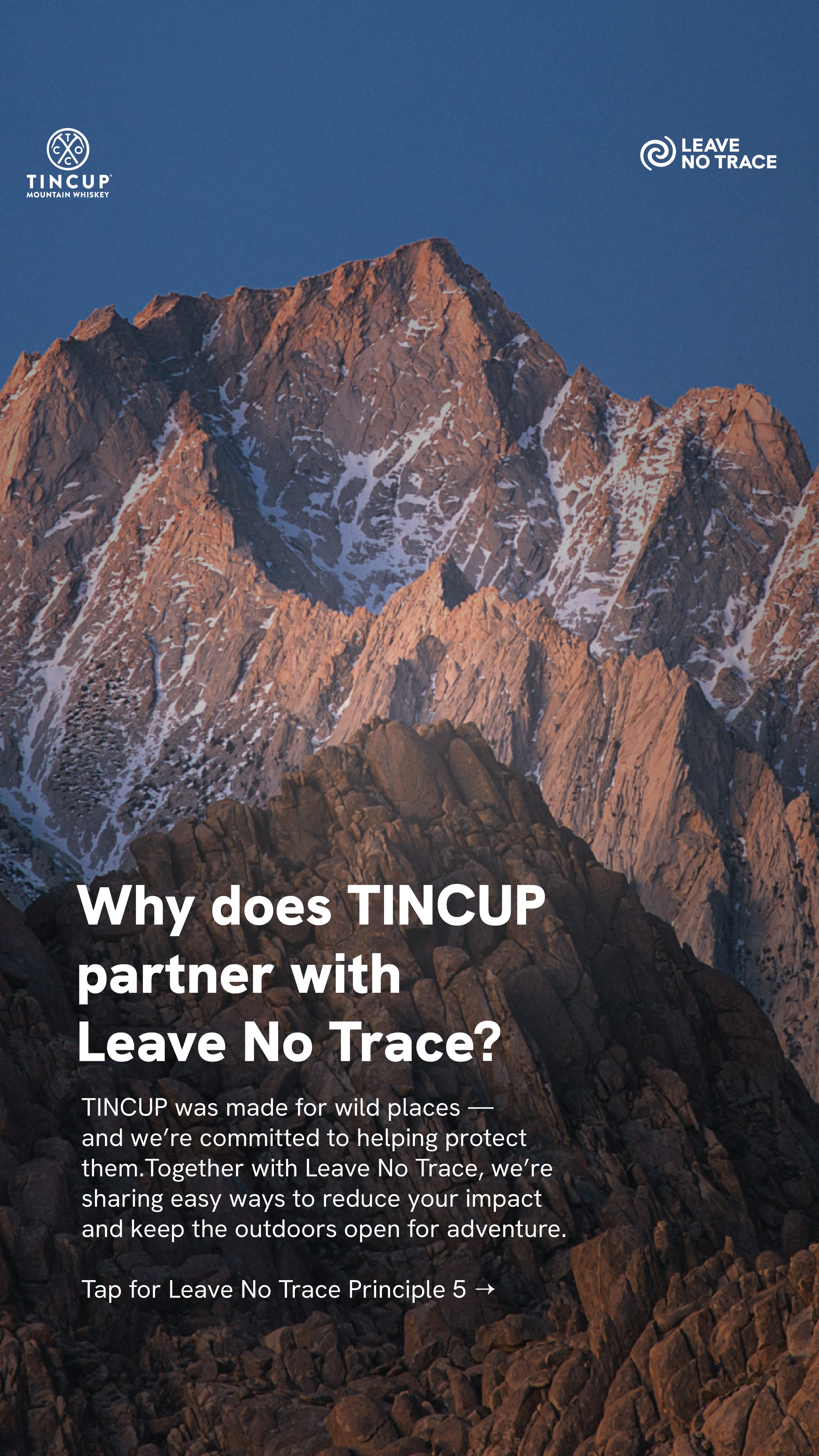 TINCUP STORIES-30.png