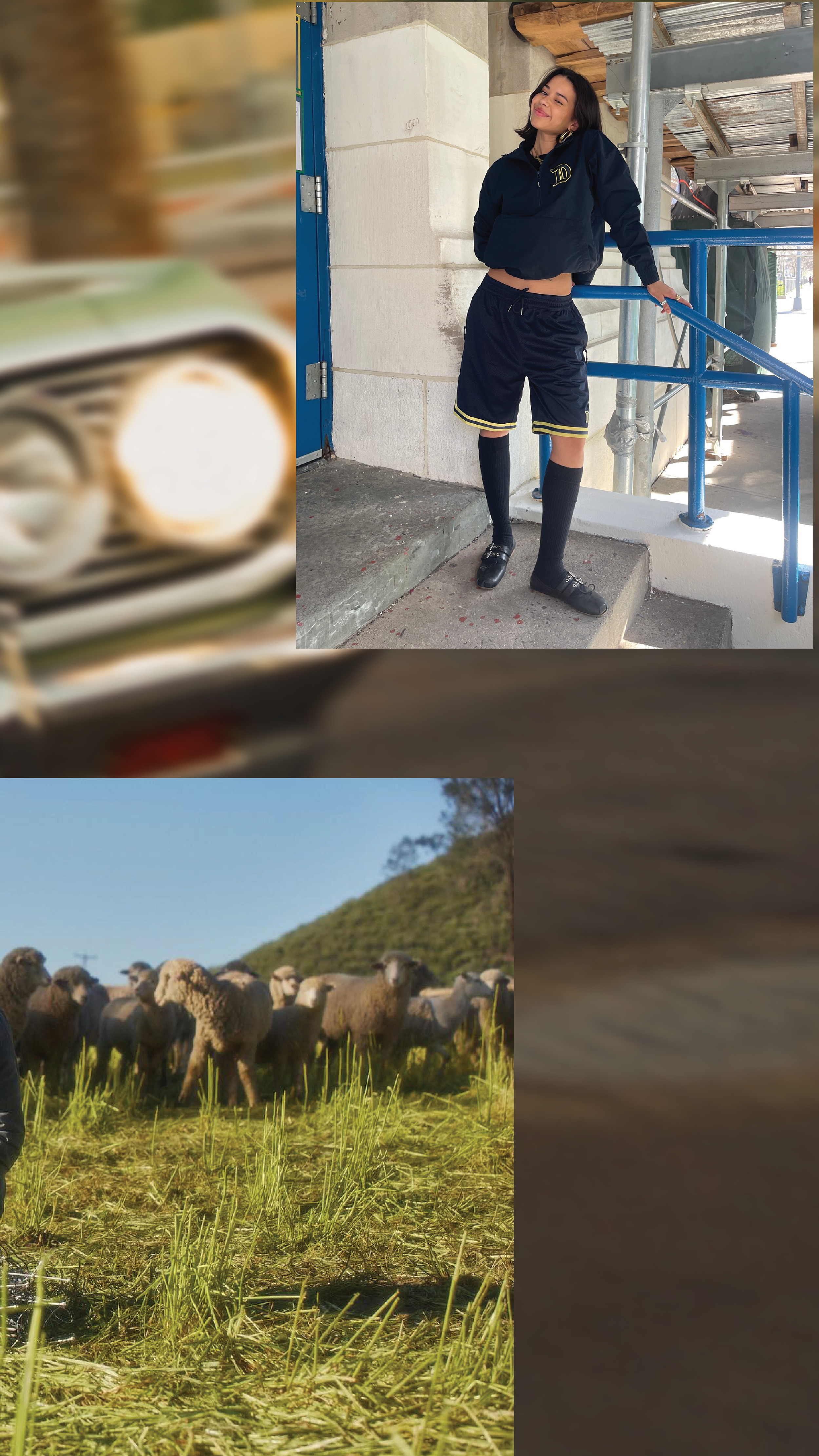 Dickies 1 Million-07.png