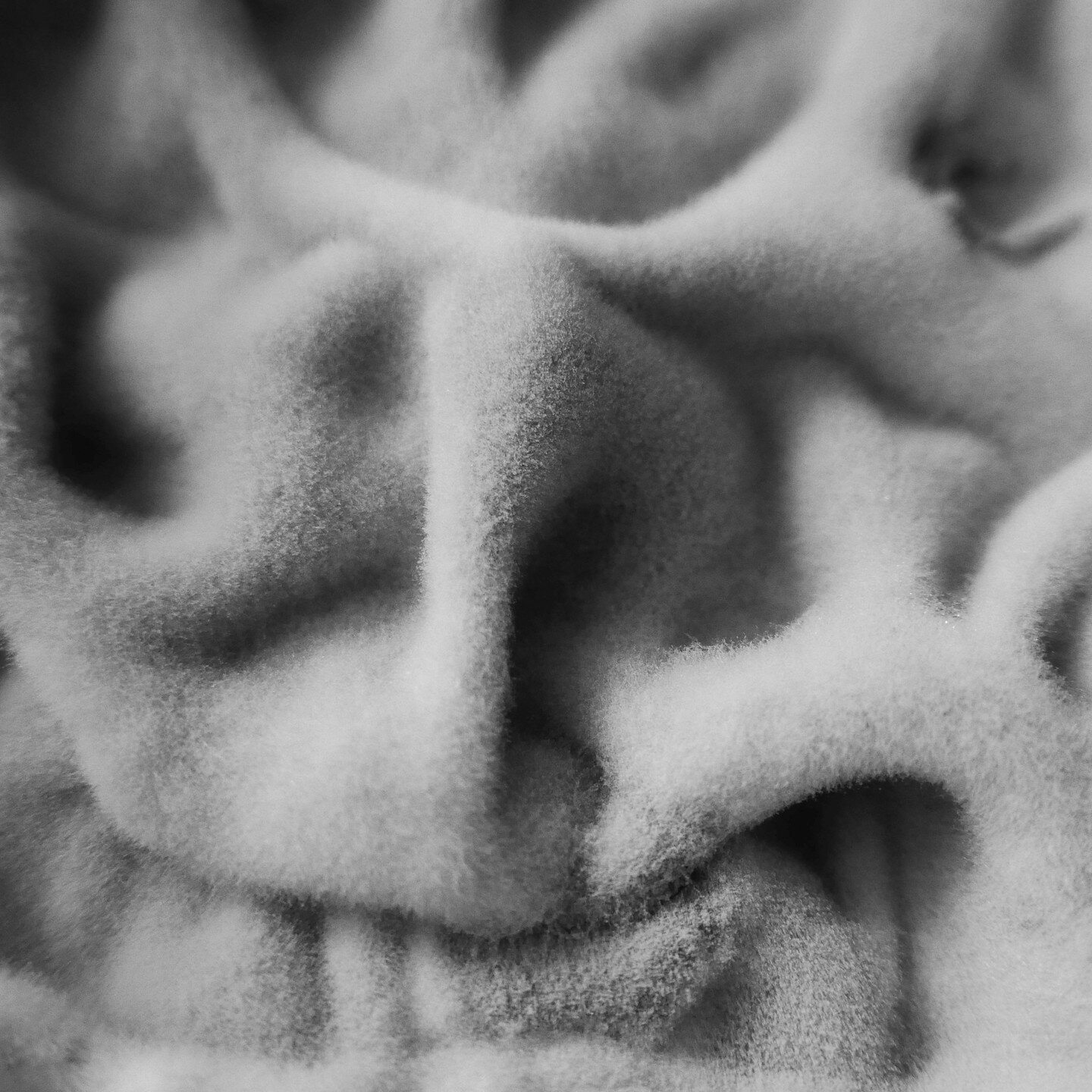 Cultured
#natureasart #weirdnature #magnificentinsignificants #mould #beanmould #opticalillusion #facesobsessed #pareidolia
#photographyyoucannotsee #photooftheday#bw #decay #bnw #bnwphotography #blackandwhite #blackandwhitephotography #monochrome #b