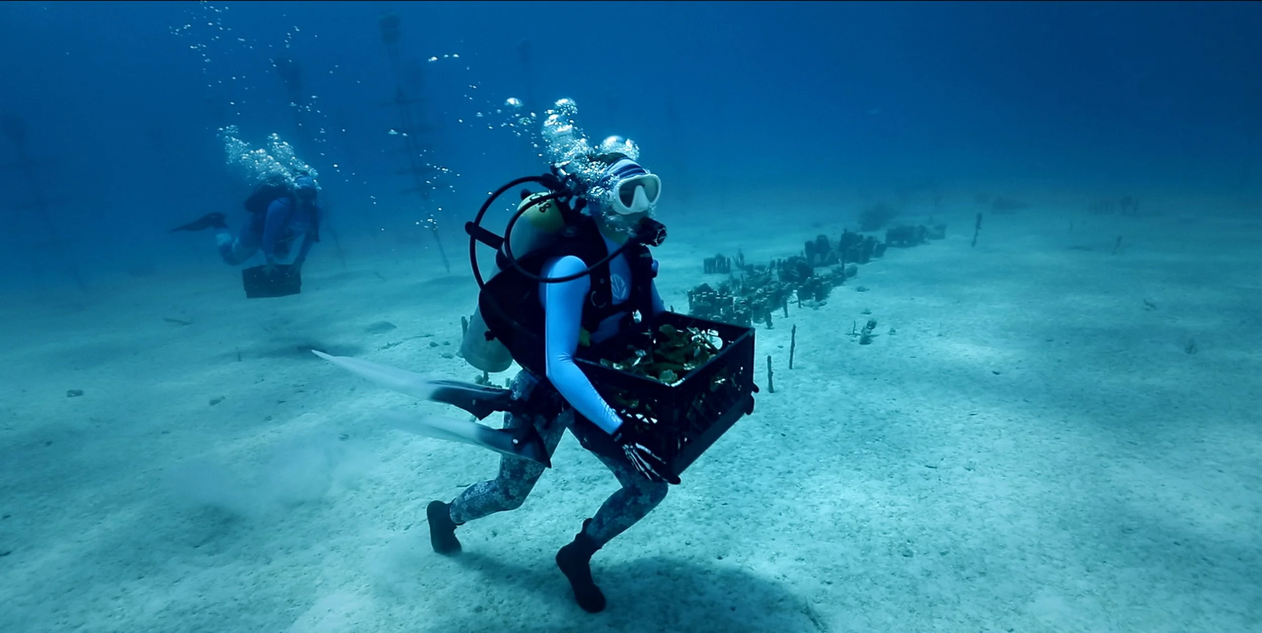 CoralRescuers_Runner - Jason Spingarn-Koff.jpeg