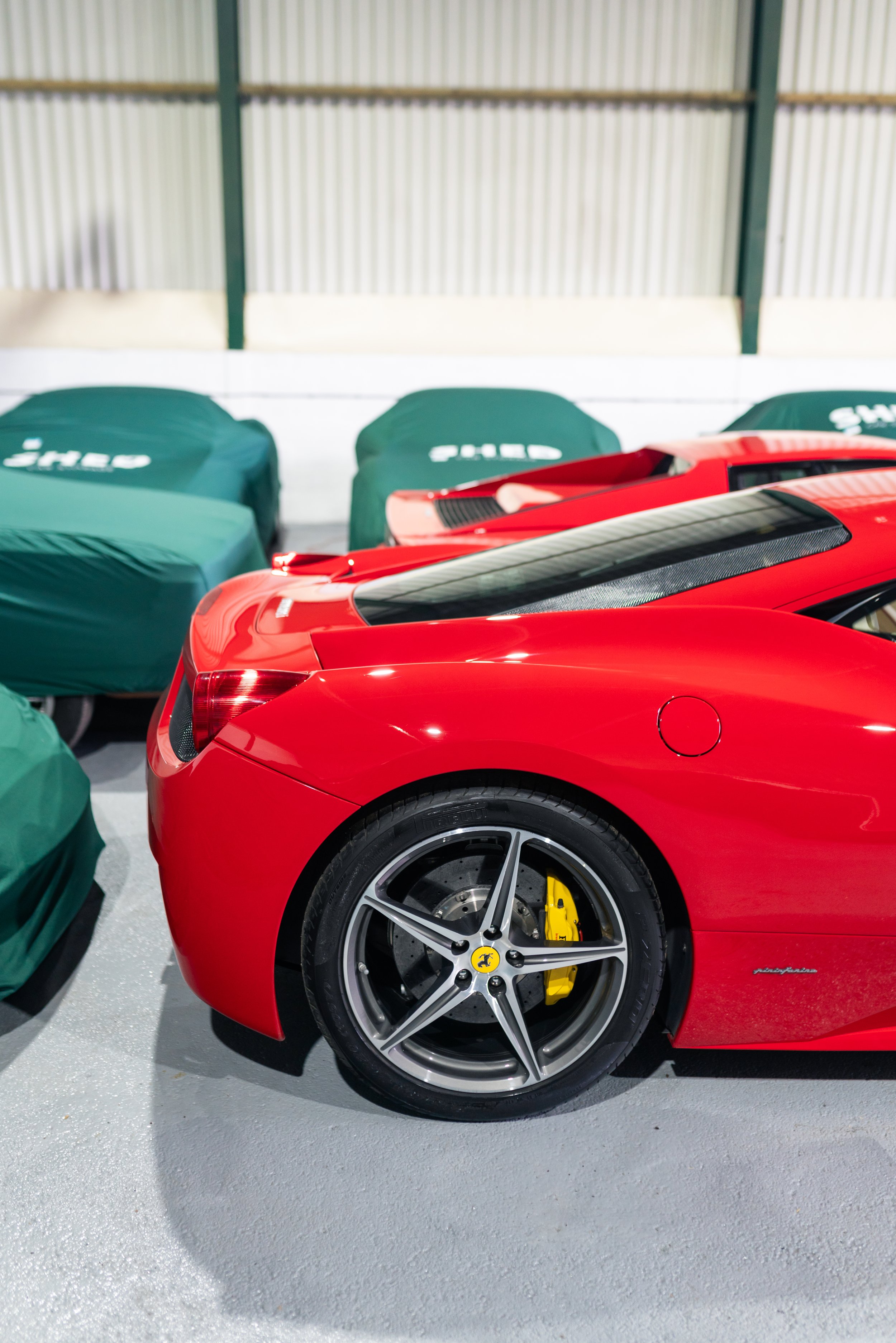 Shed 5 Feb 25-123.jpg
