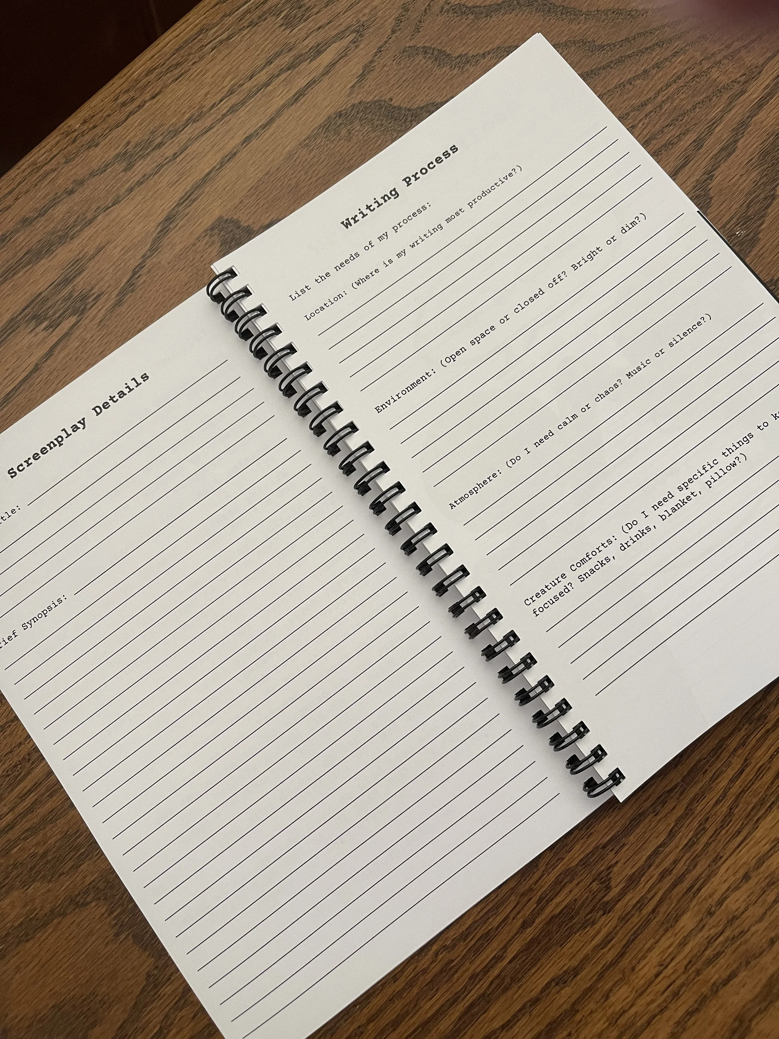 The Screenwriter's Logbook — FADE IN: to FADE OUT.