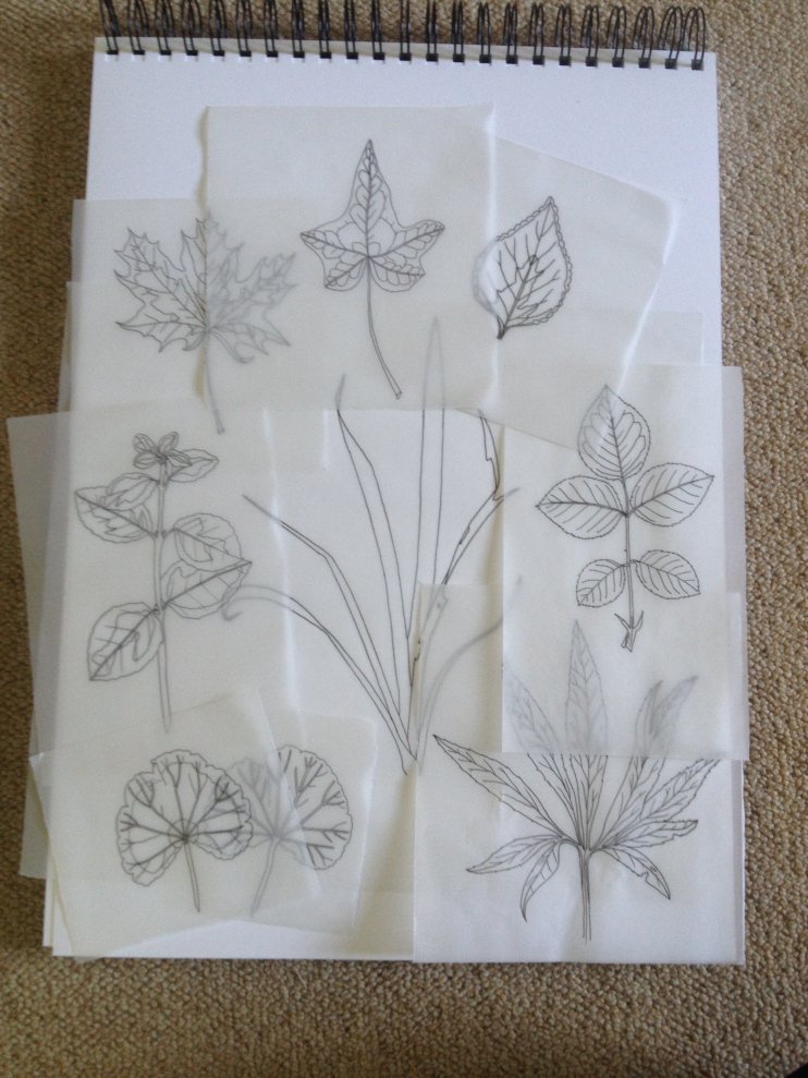 Overhead view of botanical leaf tracings laid out in final composition on tracing paper for Assignment 3 of the SBA Diploma.