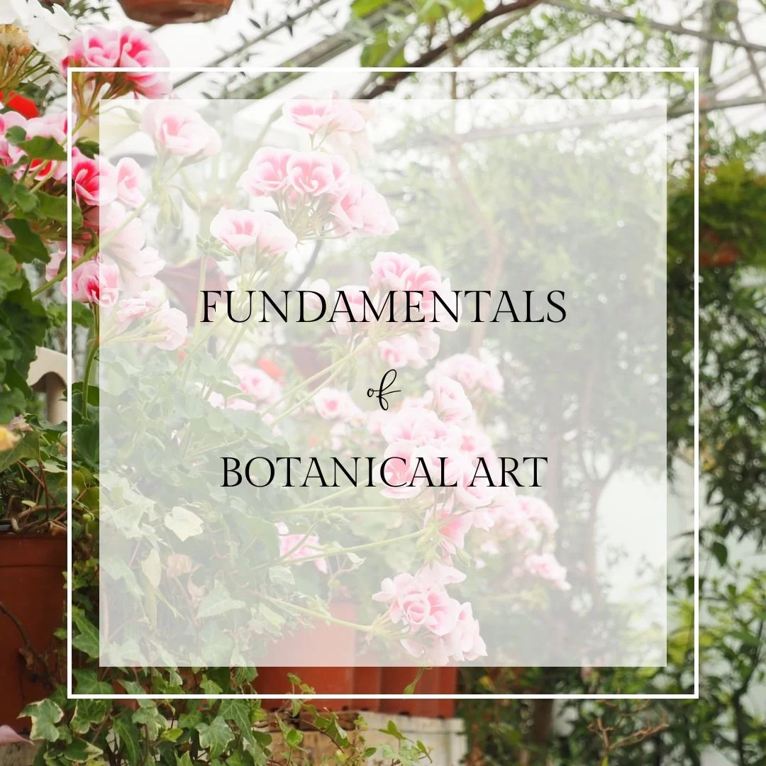 Fundamentals of Botanical Art - Ickham