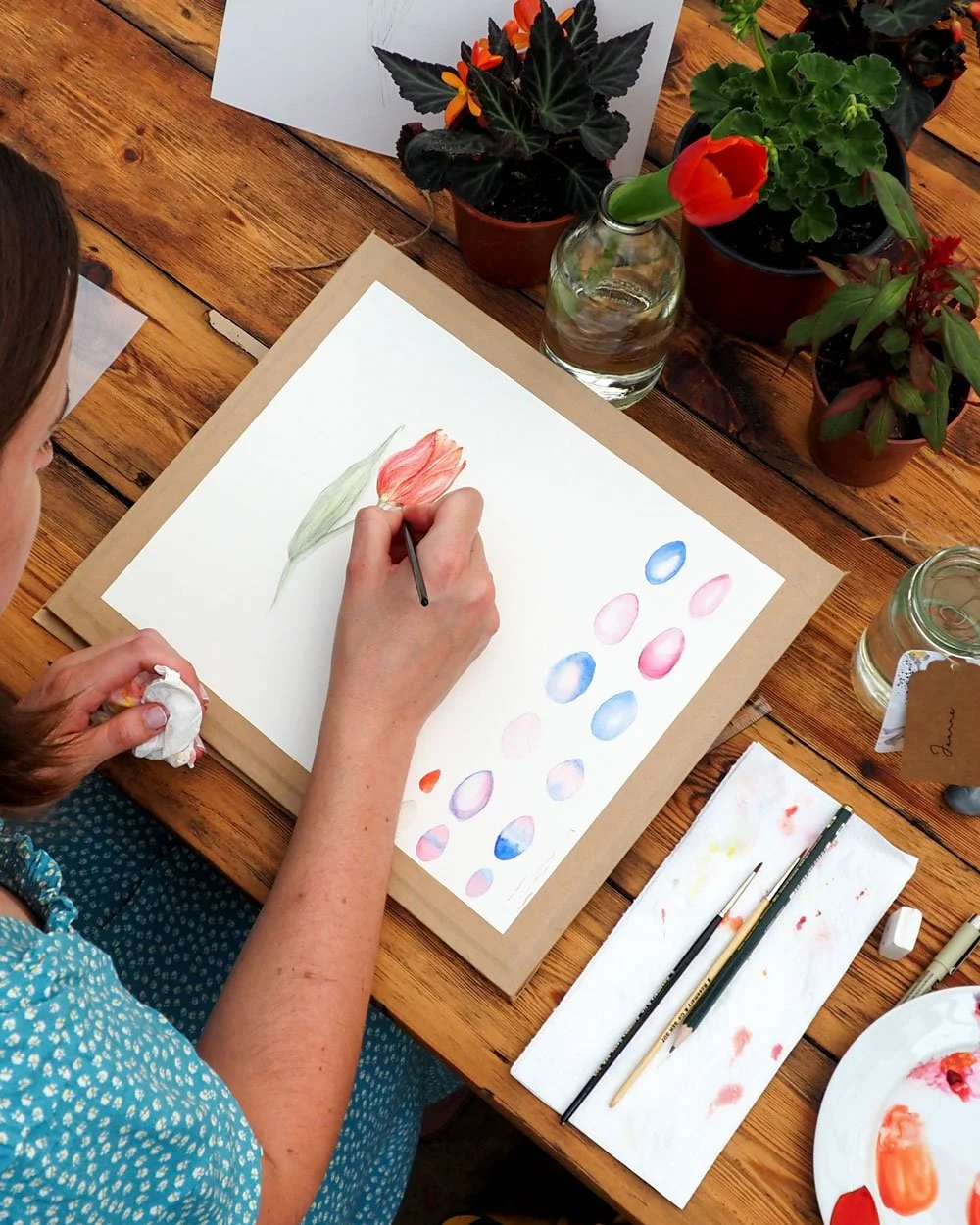 Painting a botanical watercolour study of a tulip with colour tests on paper.