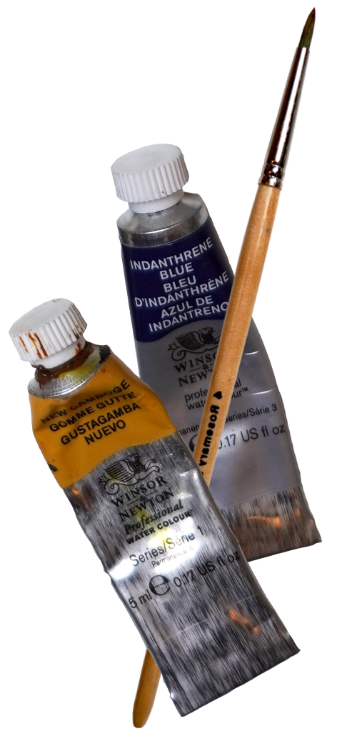 Two watercolour paint tubes and a round brush used for botanical painting.