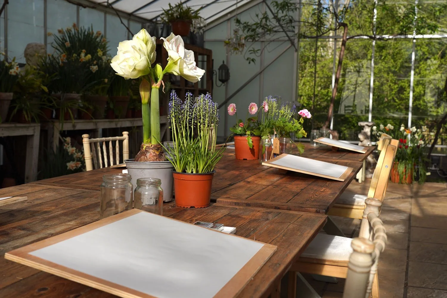 Botanical Art Dive Deeper three-day in-person workshop setup in a greenhouse with plant specimens and drawing boards.