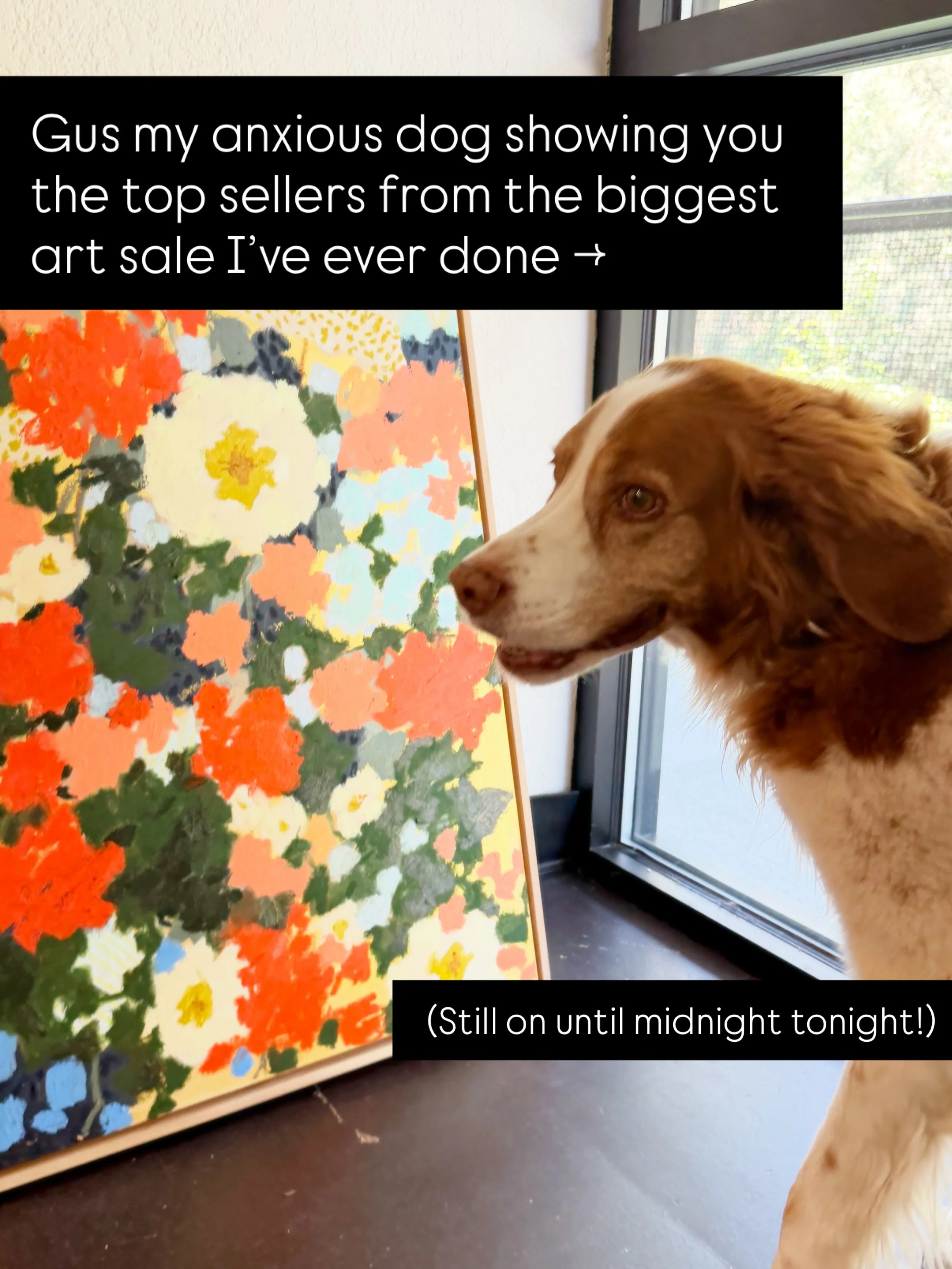 You haven&rsquo;t missed it! Get these while you still can!