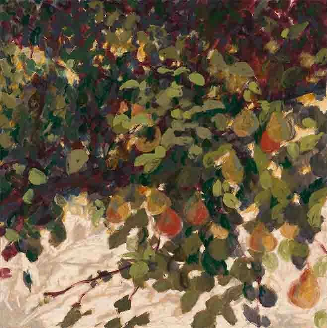 Pear Tree lower res.jpg