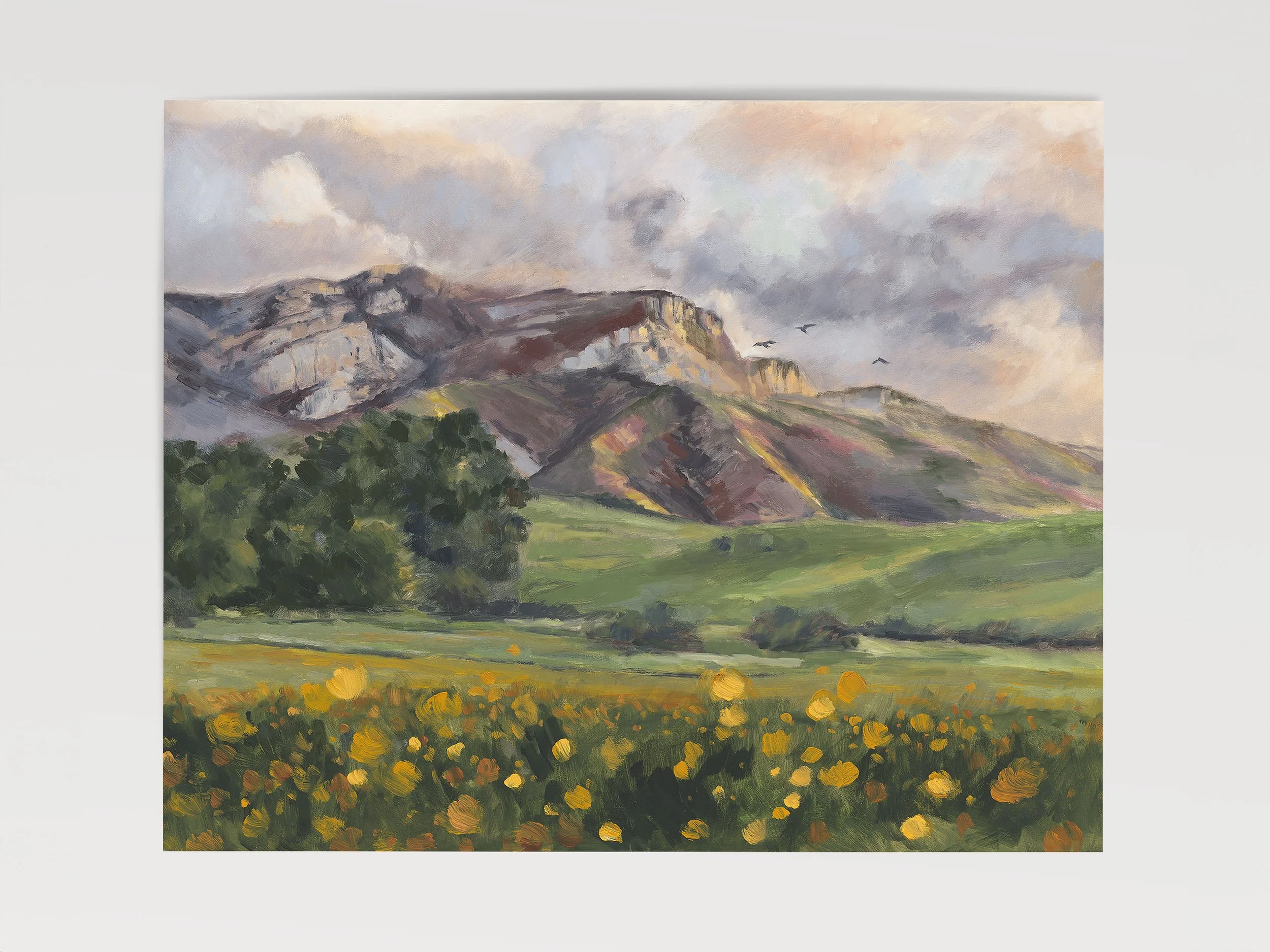 Boney Mountain Paper.jpg