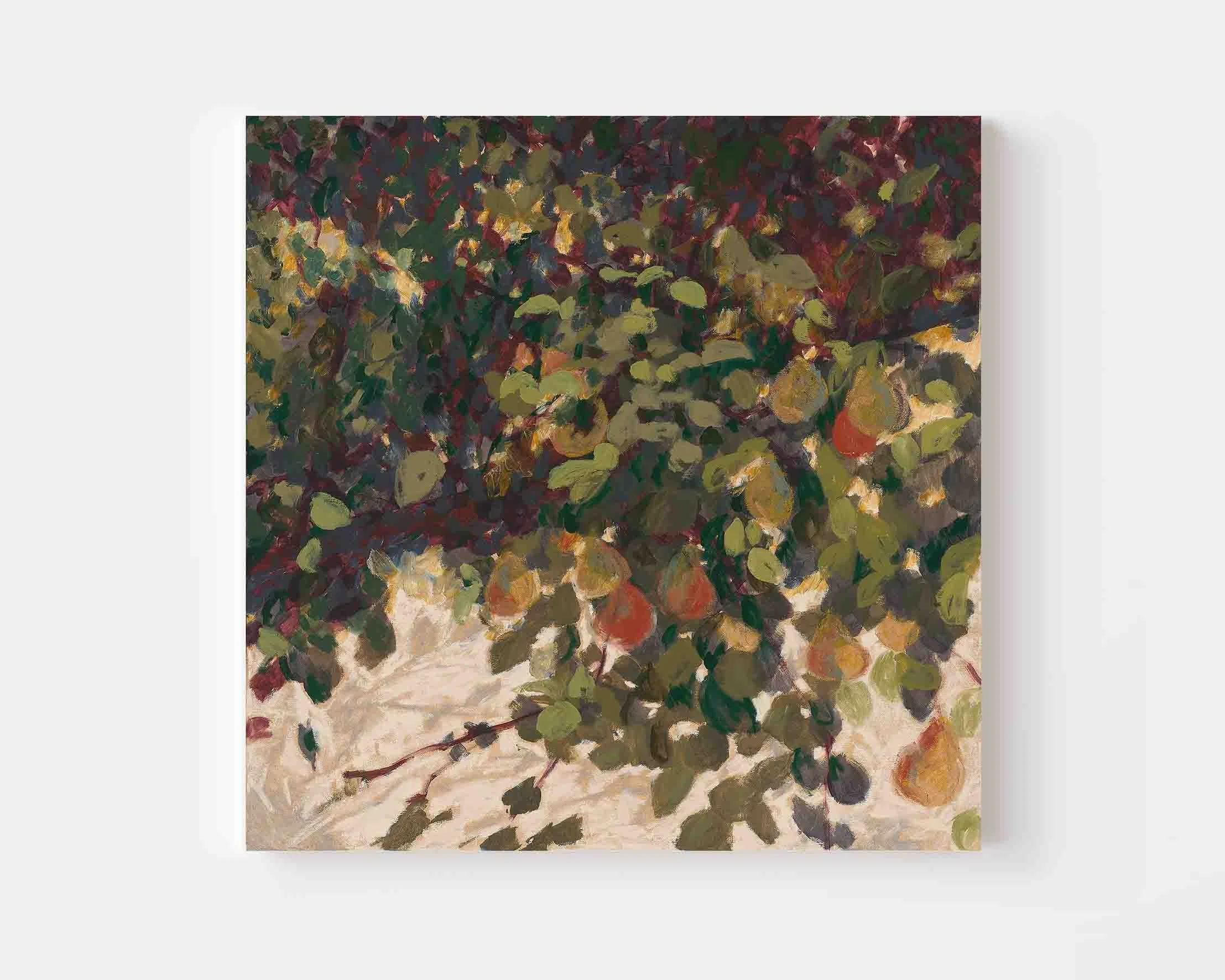 Pear Tree Canvas.jpg