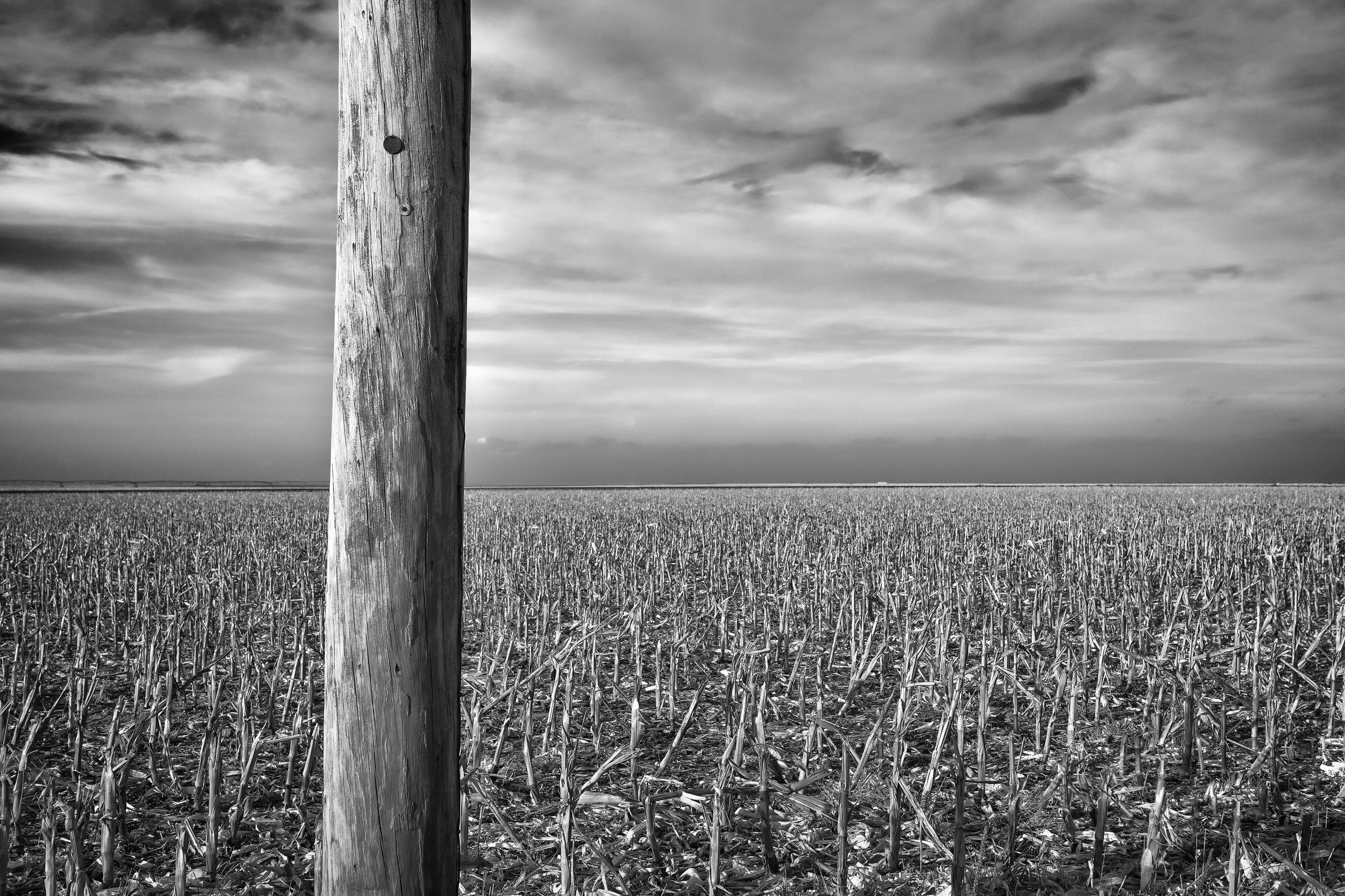 white pole sized print final  _.jpg