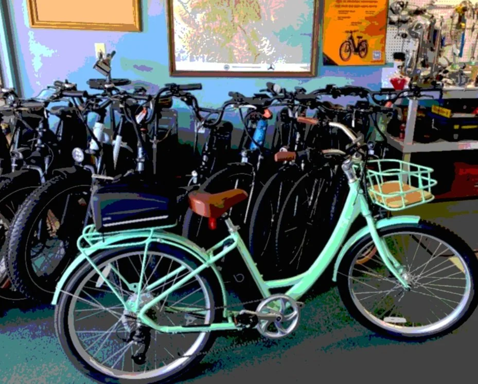 Precision-E-Bikes-Fort-Collins-Electric-bicycles-for-sale pedal-electric -mid-drive-hub-motor-battery-e-bikes  Precision E Bikes