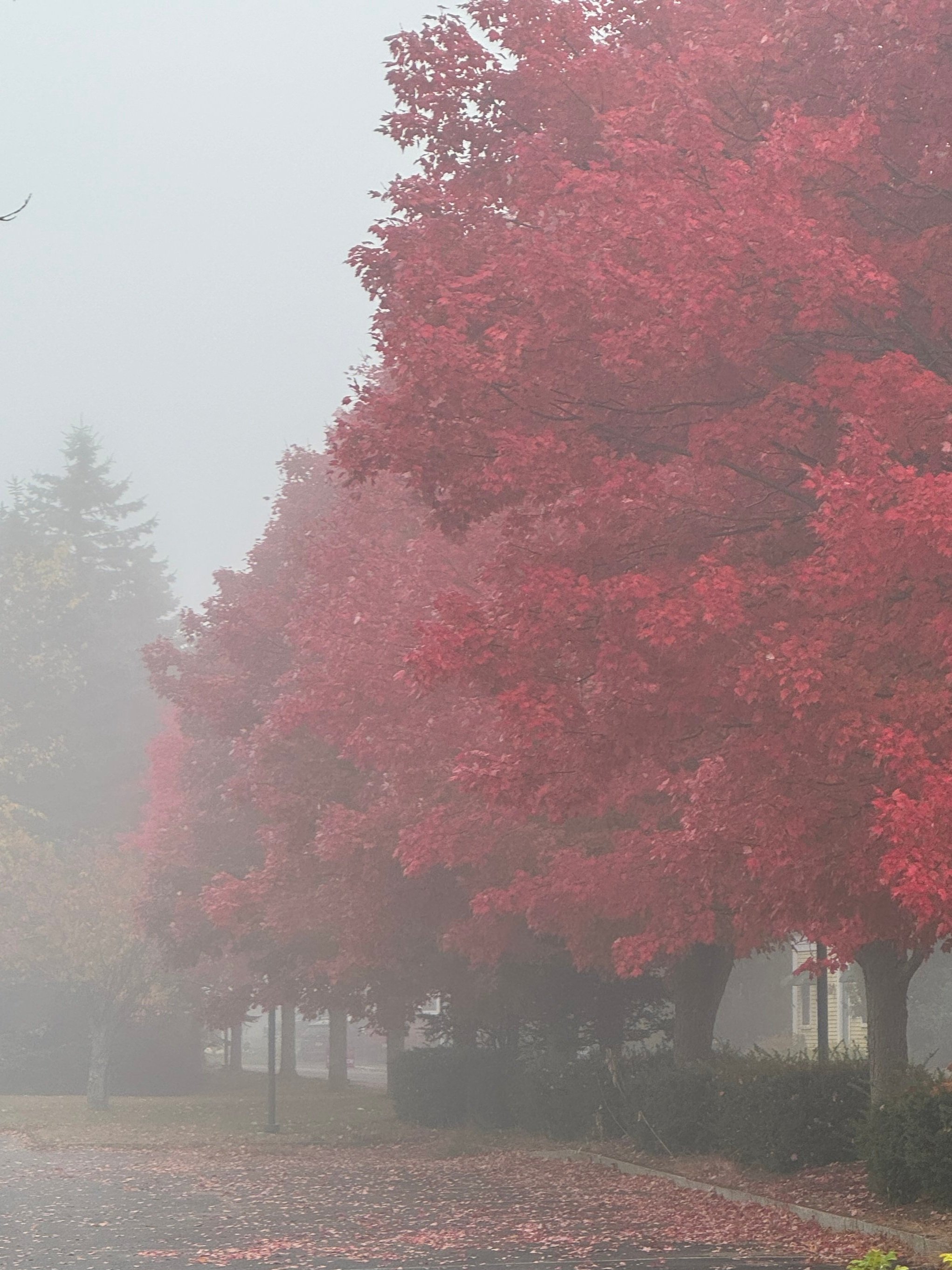 Transform Your Life: Embrace Change and Welcome New Beginnings
