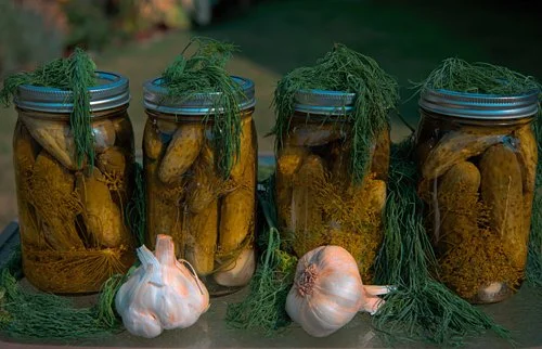 Homemade Dill Pickle Popcorn