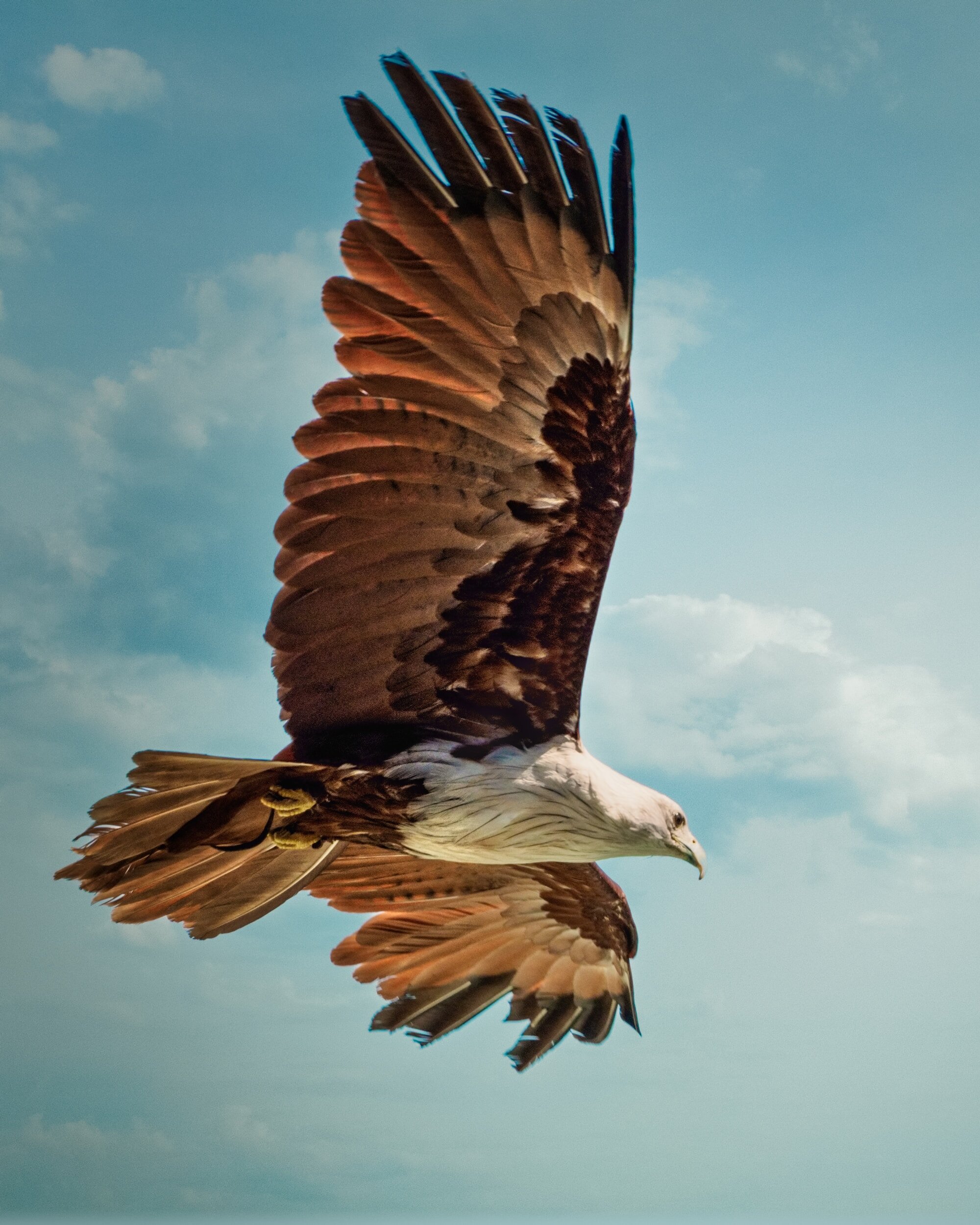 Eagle Eye Vision: The Tz’ikin Trecena