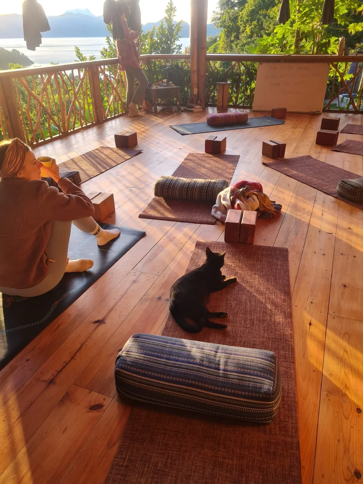 Bambu Guest House Yoga ~ January 2026
