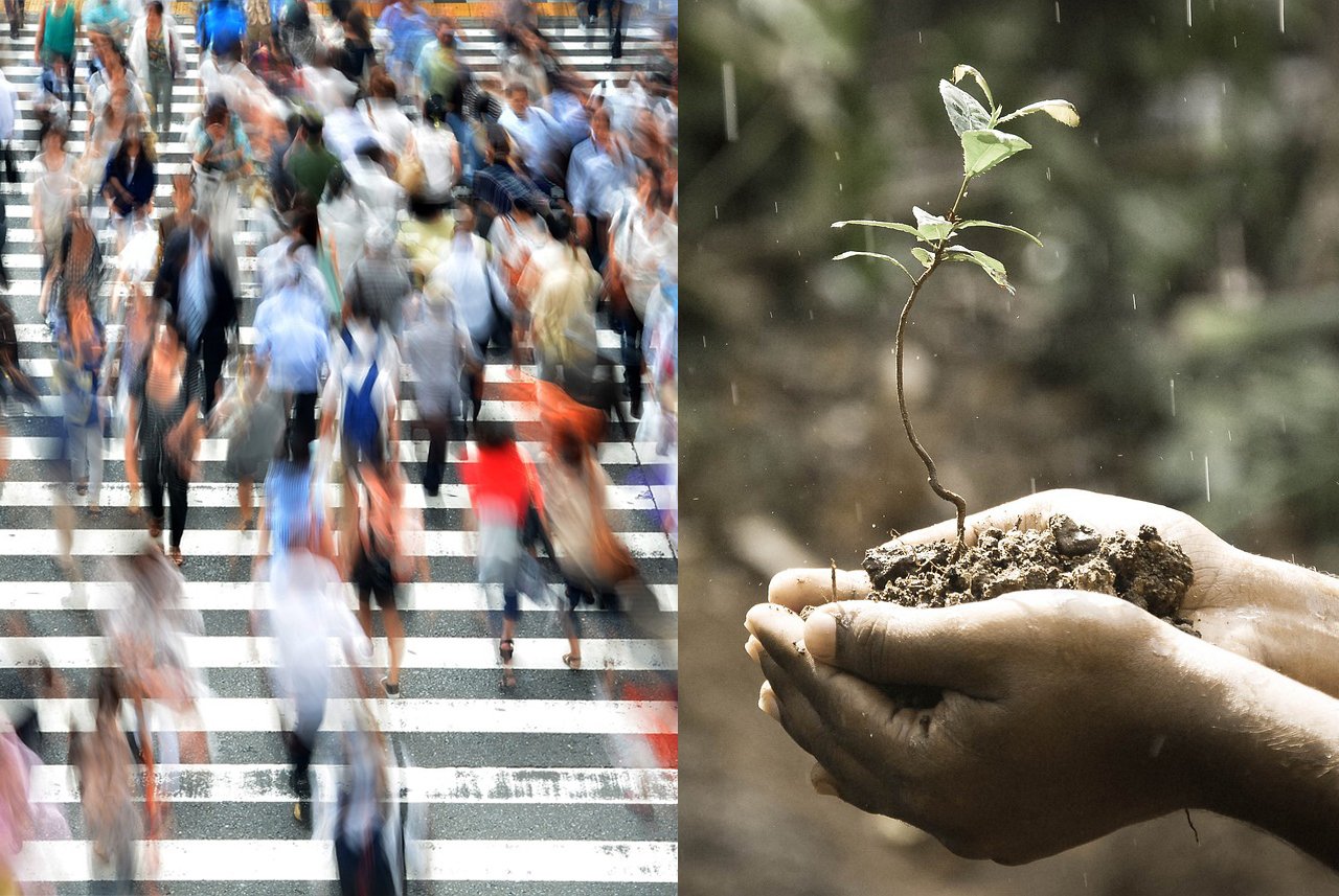 Break Out of the Rut and Do Something Radically Different