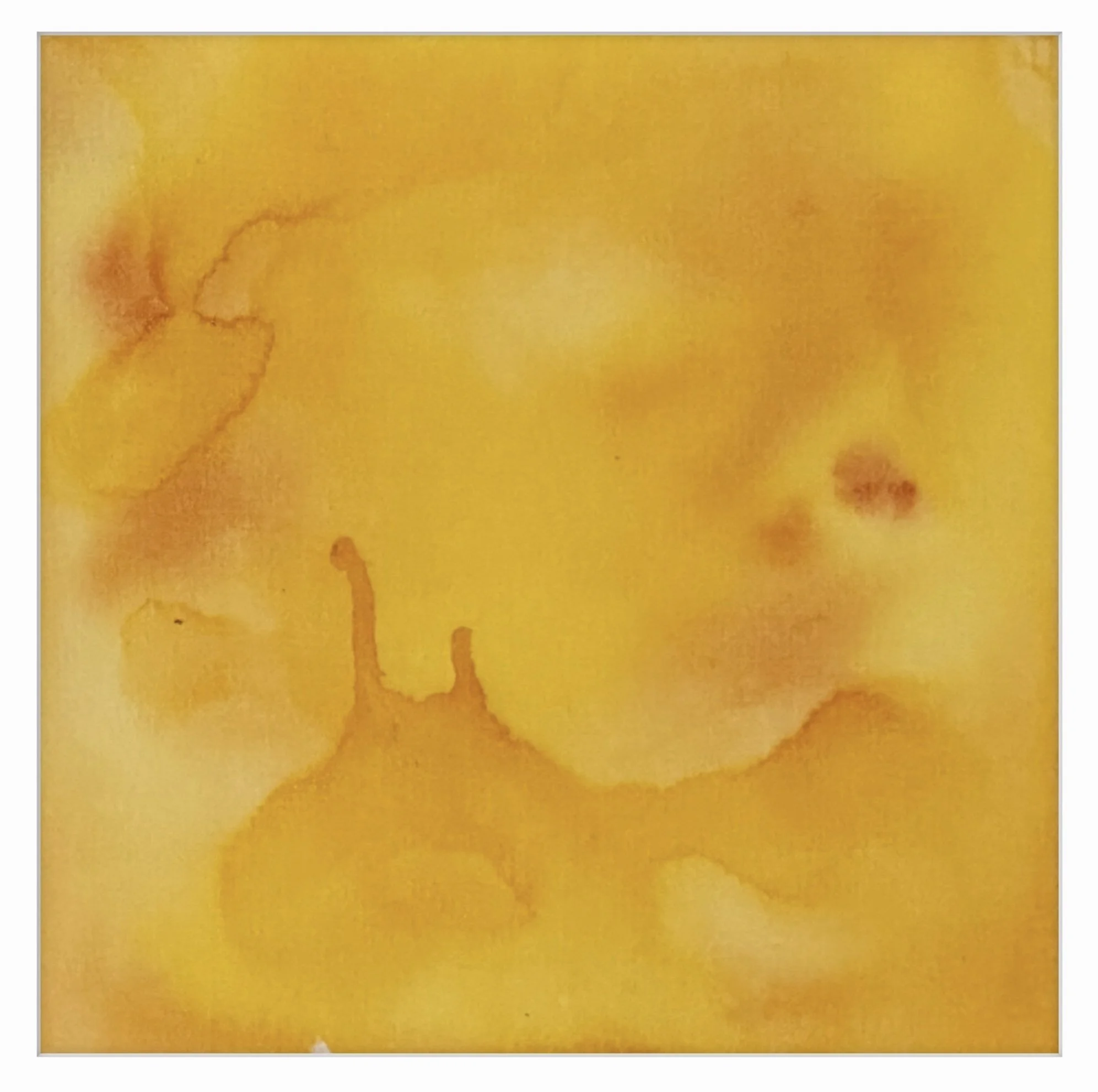 Crosstown Rebels x Jadyn Veronika