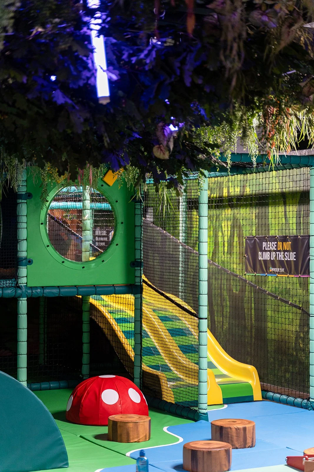 Crate Summer 2024 (14).jpg