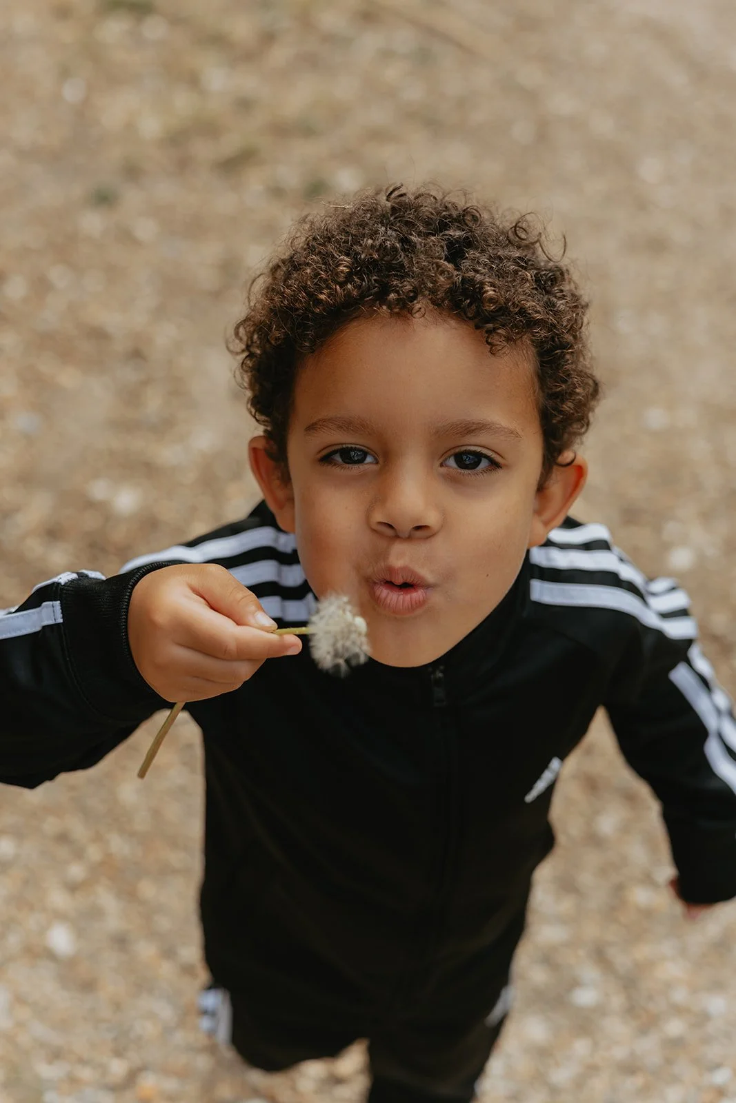 Tiny Human Club Summer 2025 (46).jpg