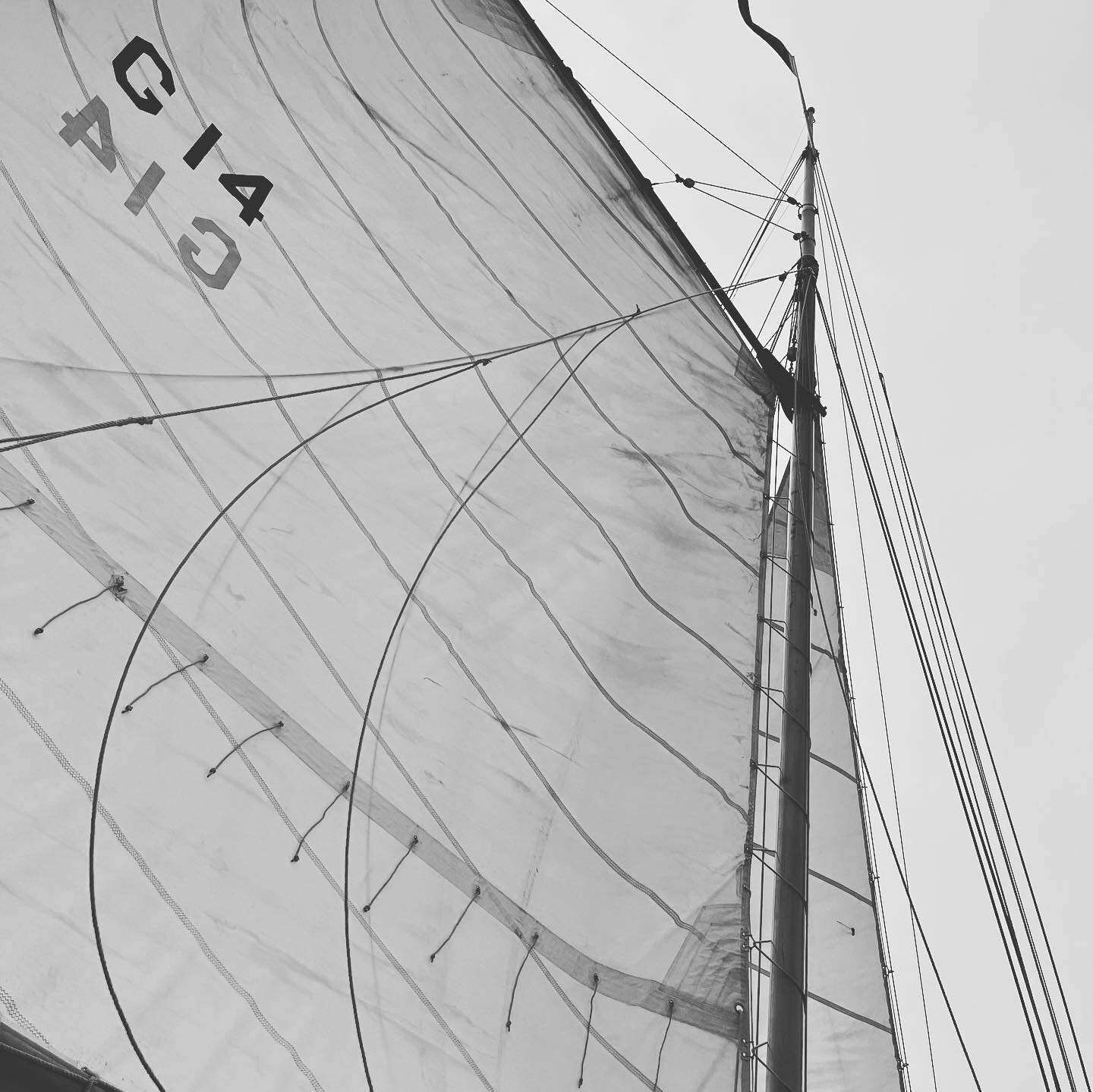 Happiness on Freda this weekend&hellip; These lucky raffle winners got to sail the West Coast&rsquo;s oldest yacht with Captain Jim Linderman on a typical blustery spring Saturday on #sanfranciscobay.  #historicpreservation #historicvessel #gosailing