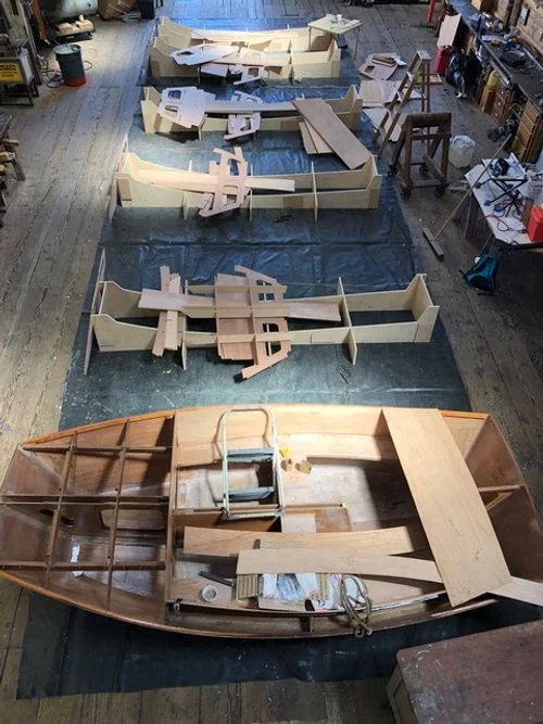 pelicans overview.jpeg