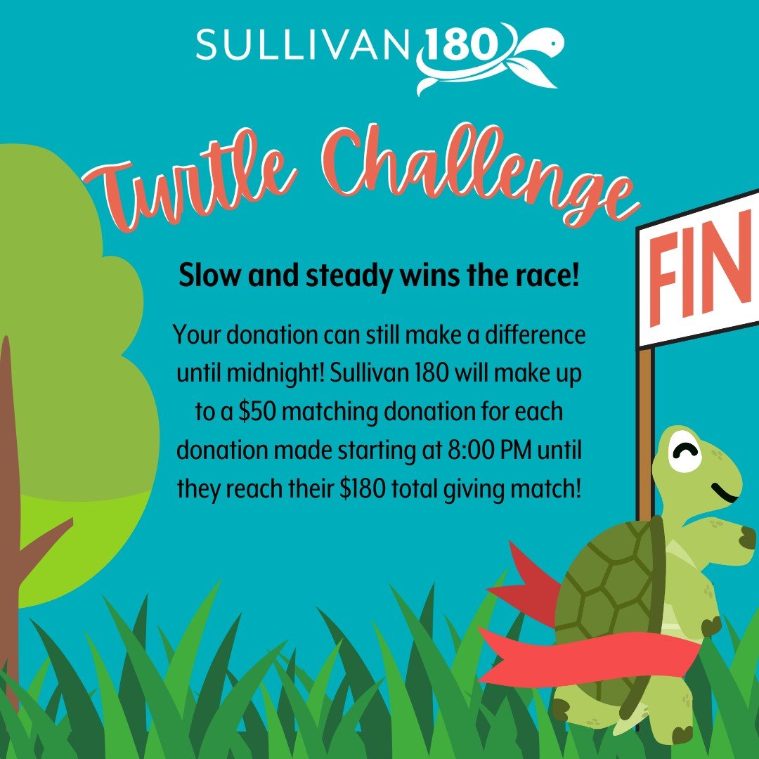 @hvgives: 𝗦𝘂𝗹𝗹𝗶𝘃𝗮𝗻 𝟭𝟴𝟬 𝗧𝘂𝗿𝘁𝗹𝗲 𝗖𝗵𝗮𝗹𝗹𝗲𝗻𝗴𝗲 🐢

🏁 Slow and steady wins the race!  The Sullivan 180 Team is committed to making our community a healthier place to live, work, and play and will be matching your donations up to $1