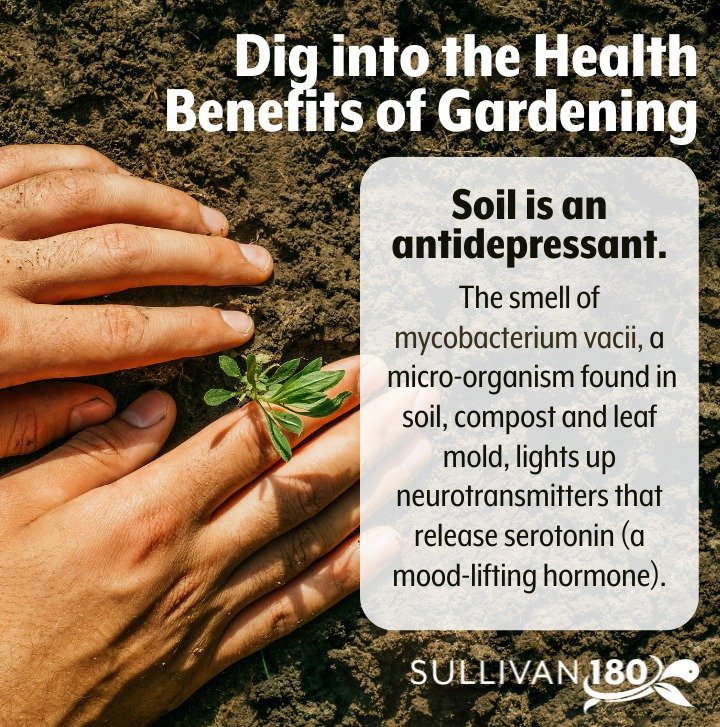 🌱𝗠𝗮𝘆 𝗶𝘀 𝗠𝗲𝗻𝘁𝗮𝗹 𝗛𝗲𝗮𝗹𝘁𝗵 𝗔𝘄𝗮𝗿𝗲𝗻𝗲𝘀𝘀 𝗠𝗼𝗻𝘁𝗵!

Did you know gardening has many positive health benefits, one being your mental health.  How does gardening help your mental health?

#Sullivan180 #Gardeningandmentalhealth #gard