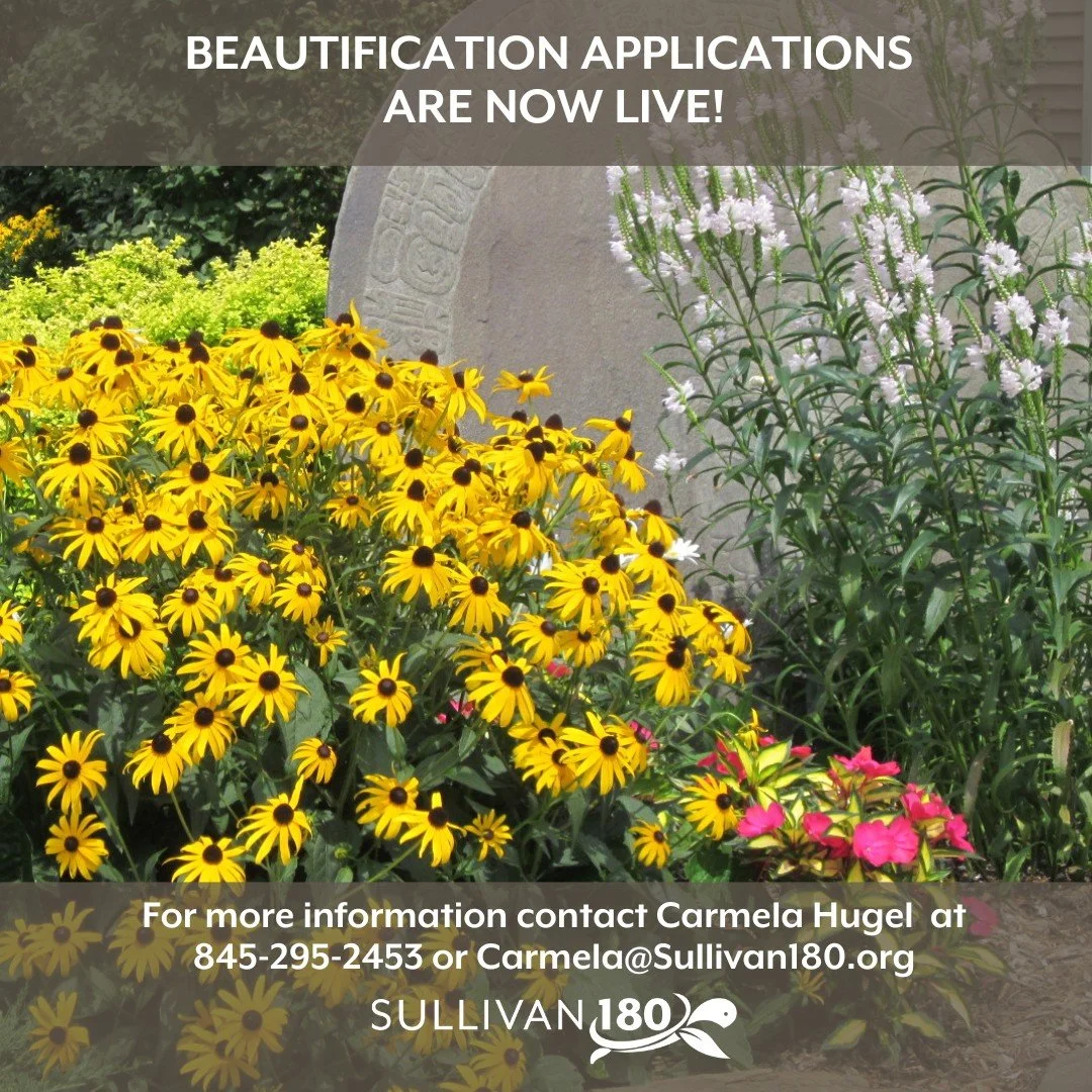 🌻𝗕𝗲𝗮𝘂𝘁𝗶𝗳𝗶𝗰𝗮𝘁𝗶𝗼𝗻 𝗴𝗿𝗮𝗻𝘁 𝗮𝗽𝗽𝗹𝗶𝗰𝗮𝘁𝗶𝗼𝗻𝘀 𝗮𝗿𝗲 𝗻𝗼𝘄 𝗼𝗽𝗲𝗻

&ldquo;The Sullivan 180 grant experience has been nothing short of outstanding. This remarkable program has empowered the Town of Lumberland and many neighbori