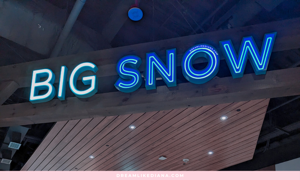 big snow (32).png