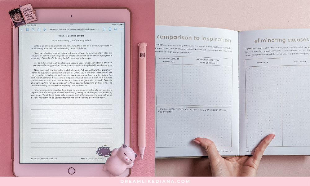 pp guide review (10).png