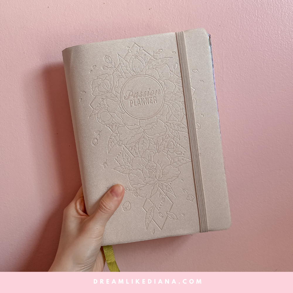 Undated Passion Planner Daily