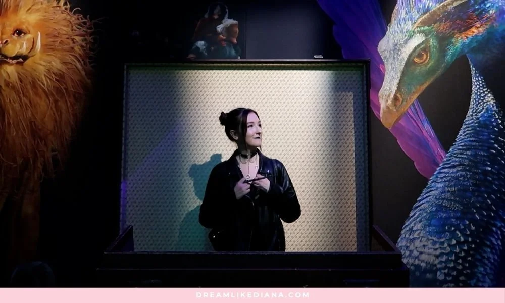 solo vlogging 1st (4).jpg