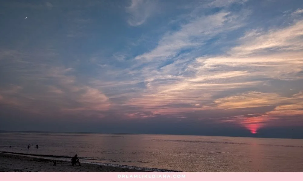 biz training in disguise (3).jpg