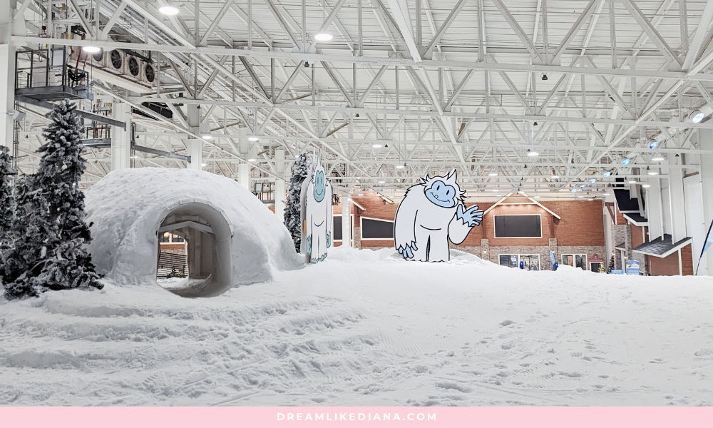 Indoor winter scene with a snow-covered igloo, cartoon yeti cutout, and snow-dusted trees. Cozy, fun ambiance set against a wooden lodge backdrop.
