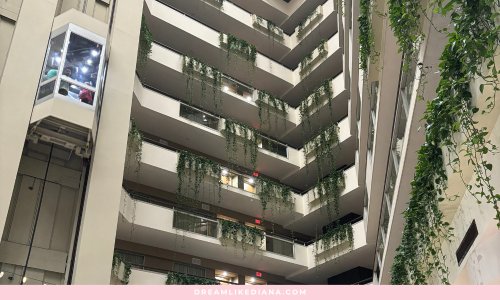 Eight-floor hotel atrium with cascading green ivy on each balcony. A glass elevator ascends, carrying two people. Bright, airy atmosphere.