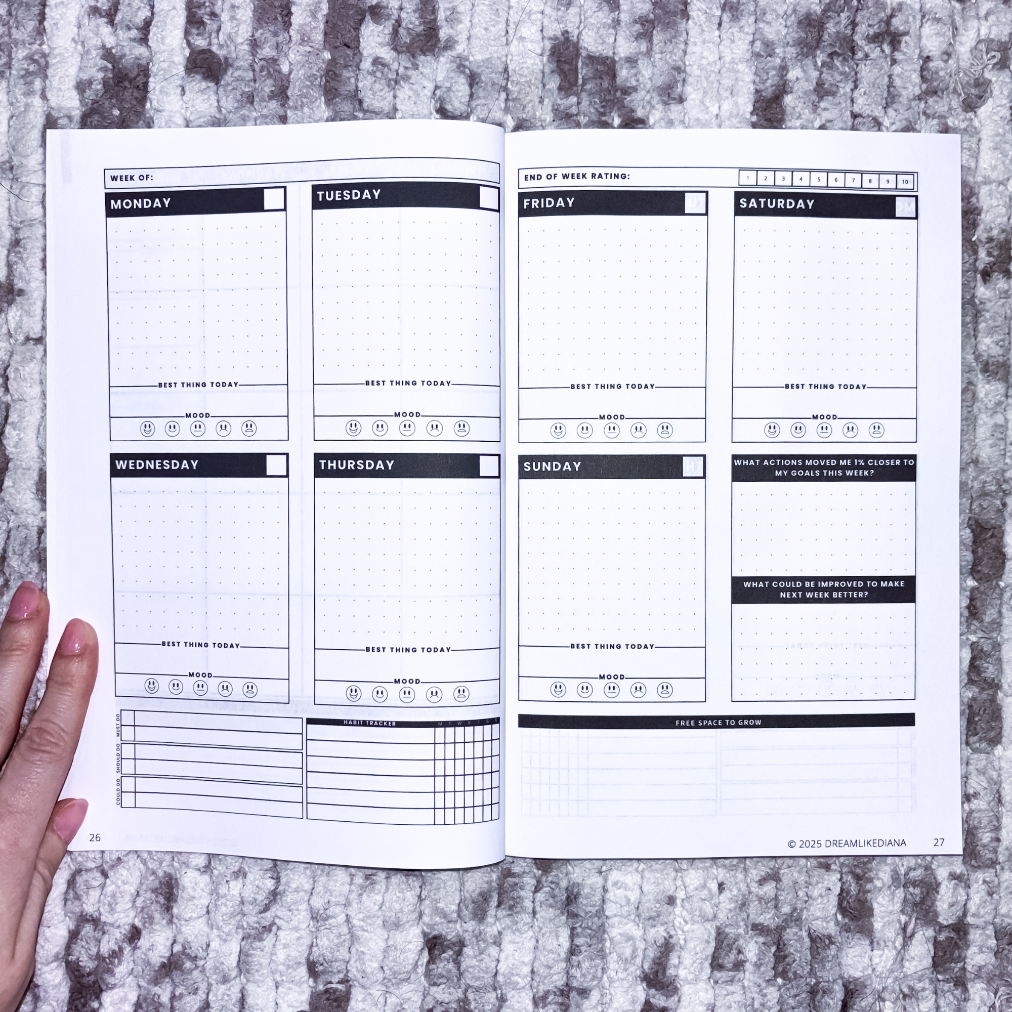 10_Weekly Spread.png