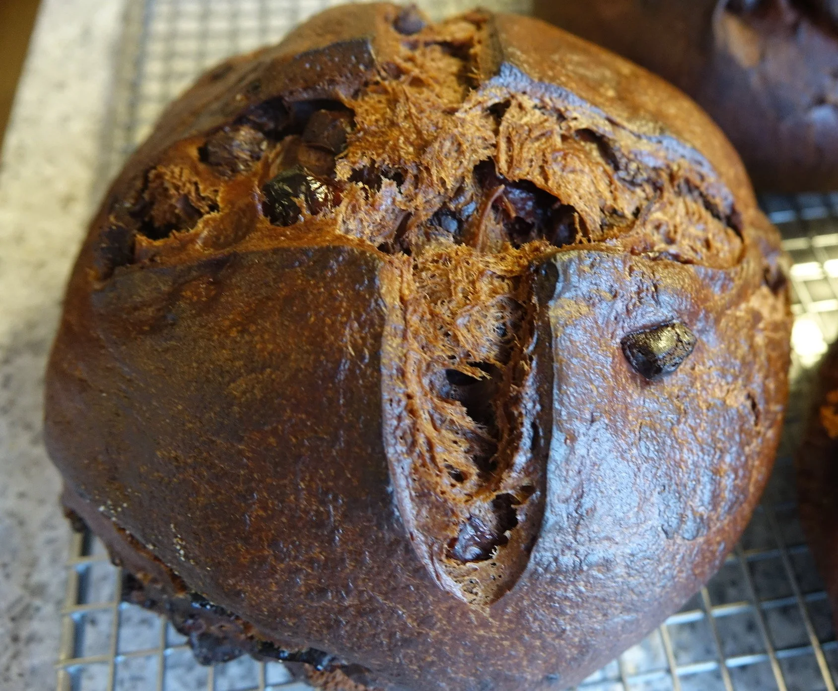Saturday: Chocolate Cherry Sourdough