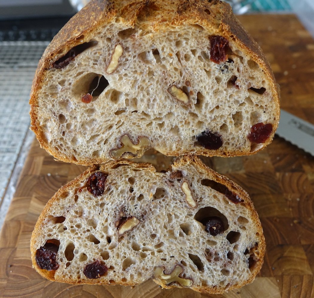 Walnut Cranberry Sourdough crumb smVer.jpg