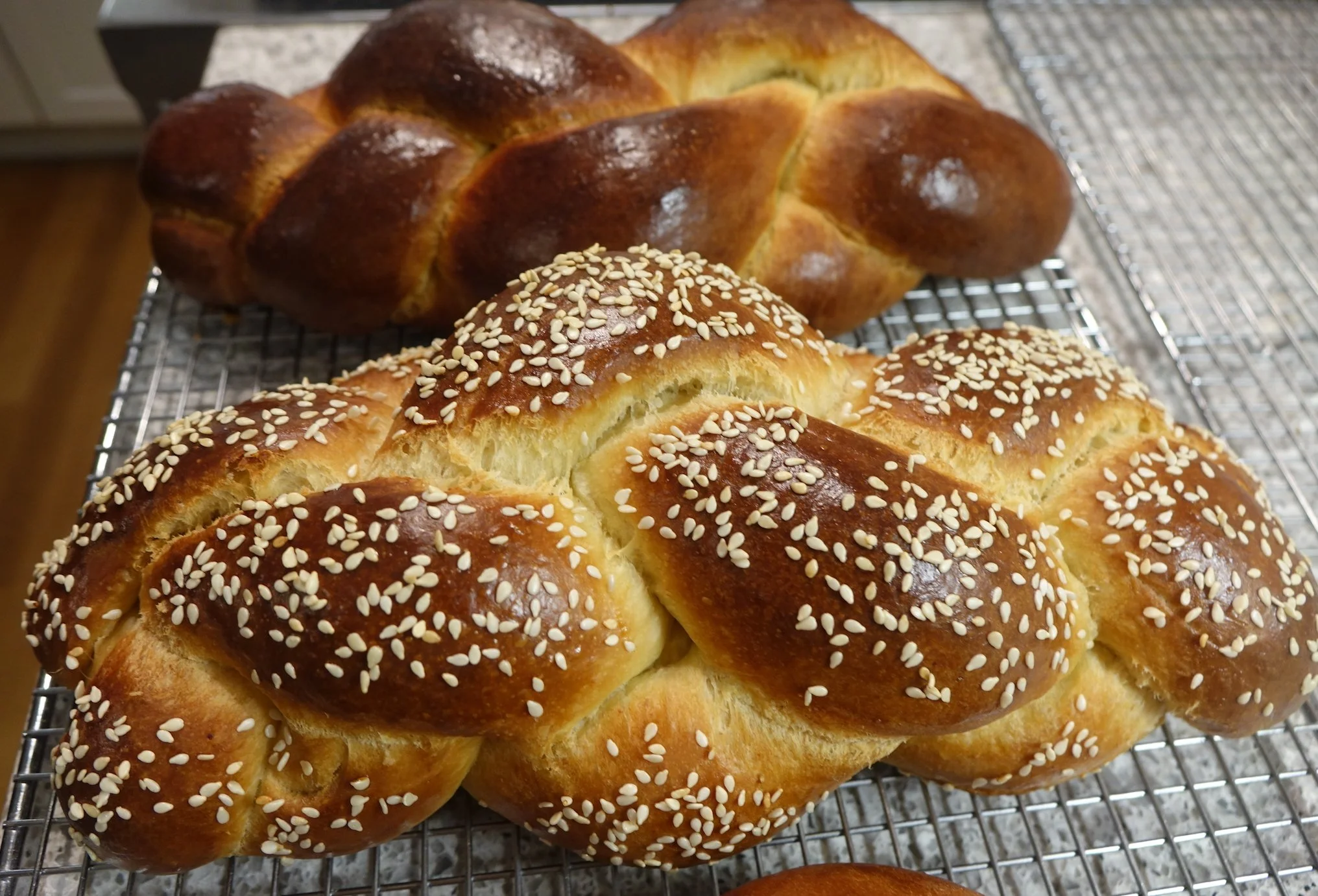 Braided Challahs.jpg