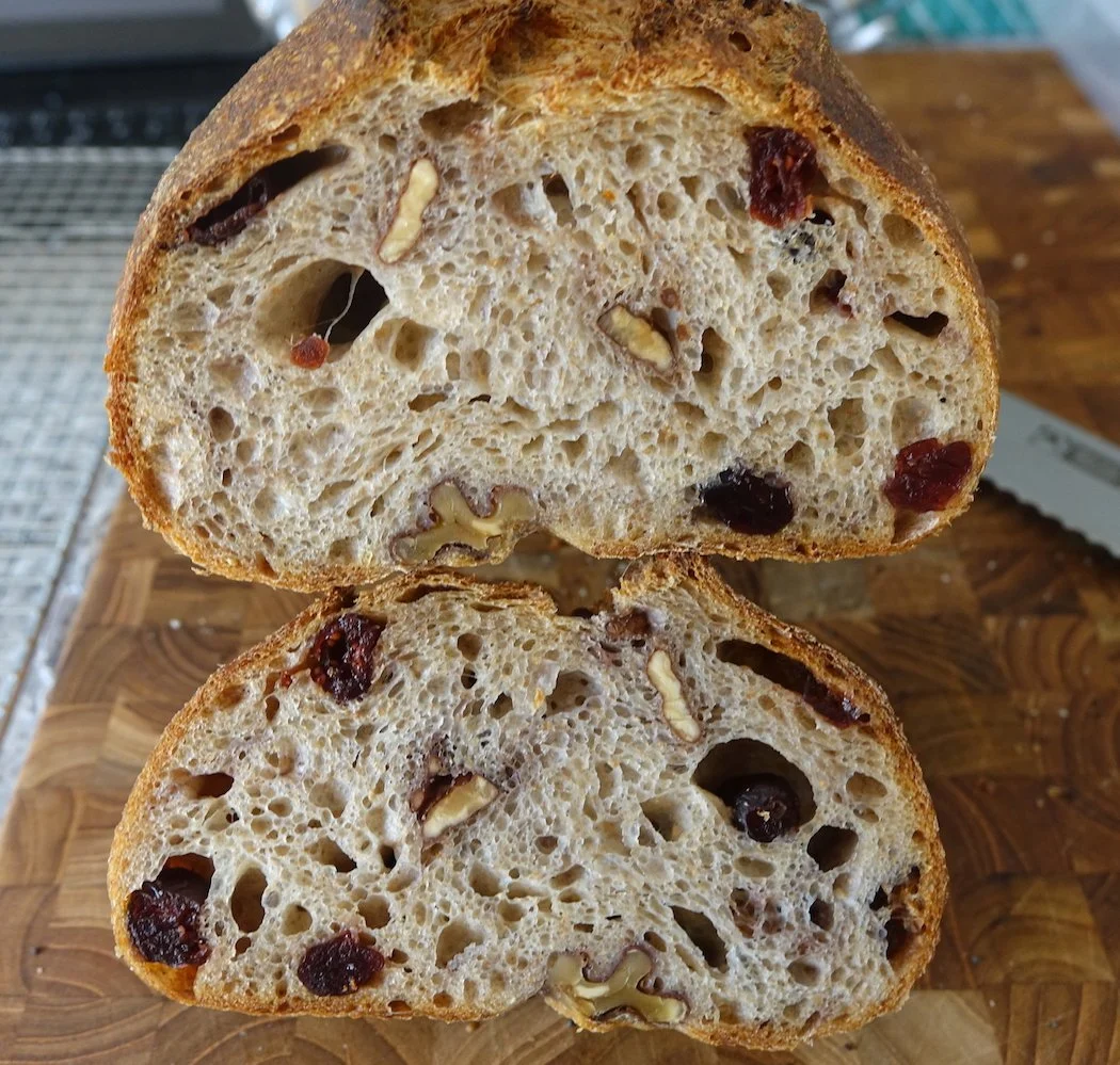 Walnut Cranberry Sourdough (DF) crumb.jpg