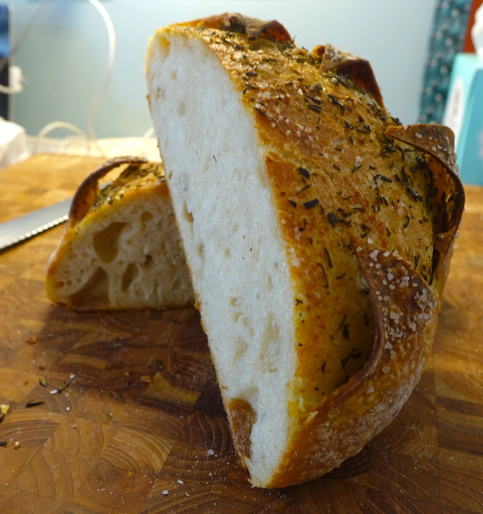 Lemon Rosemary Sourdough Crumb.jpg