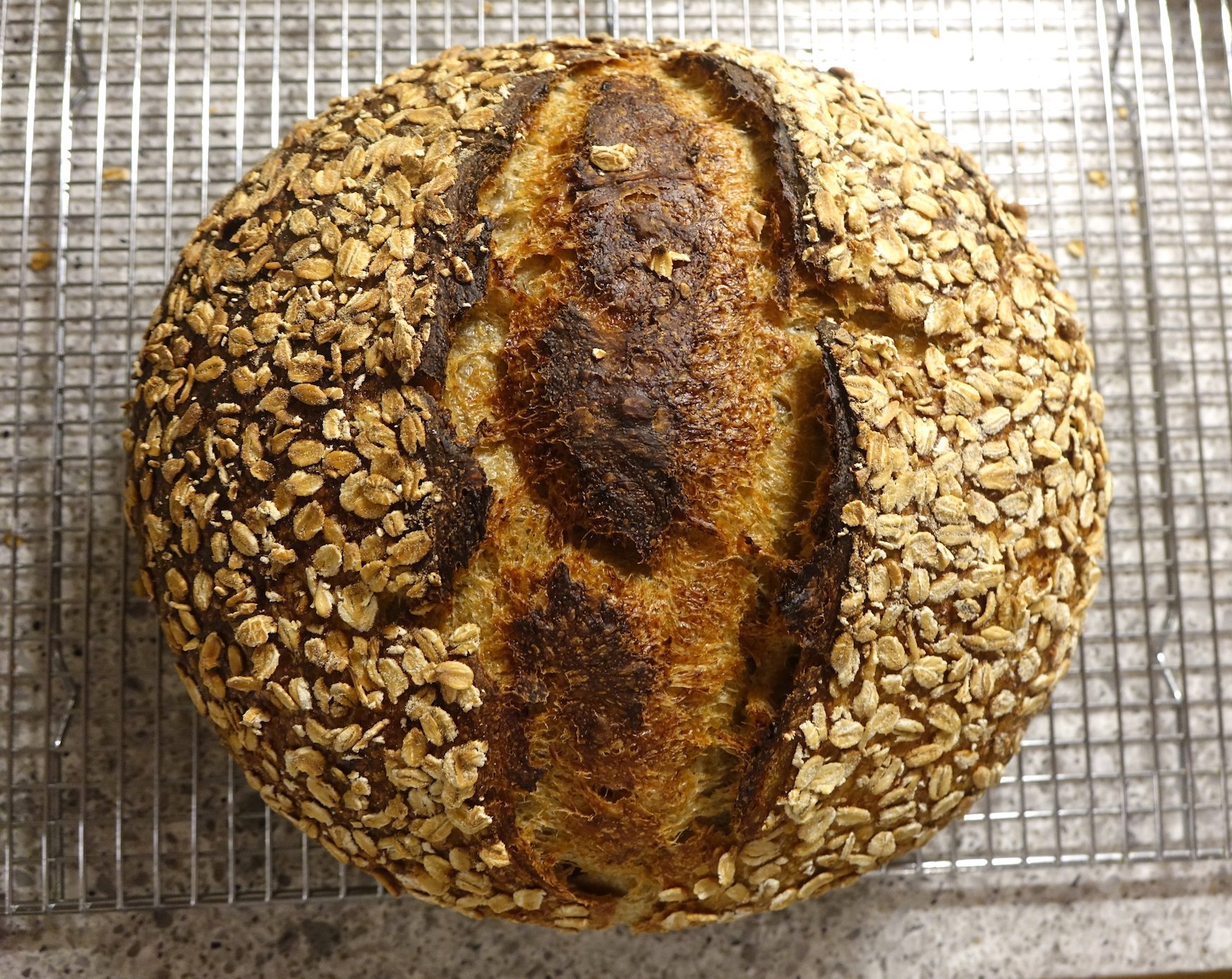 Oat Porridge Sourdough Boule.jpg