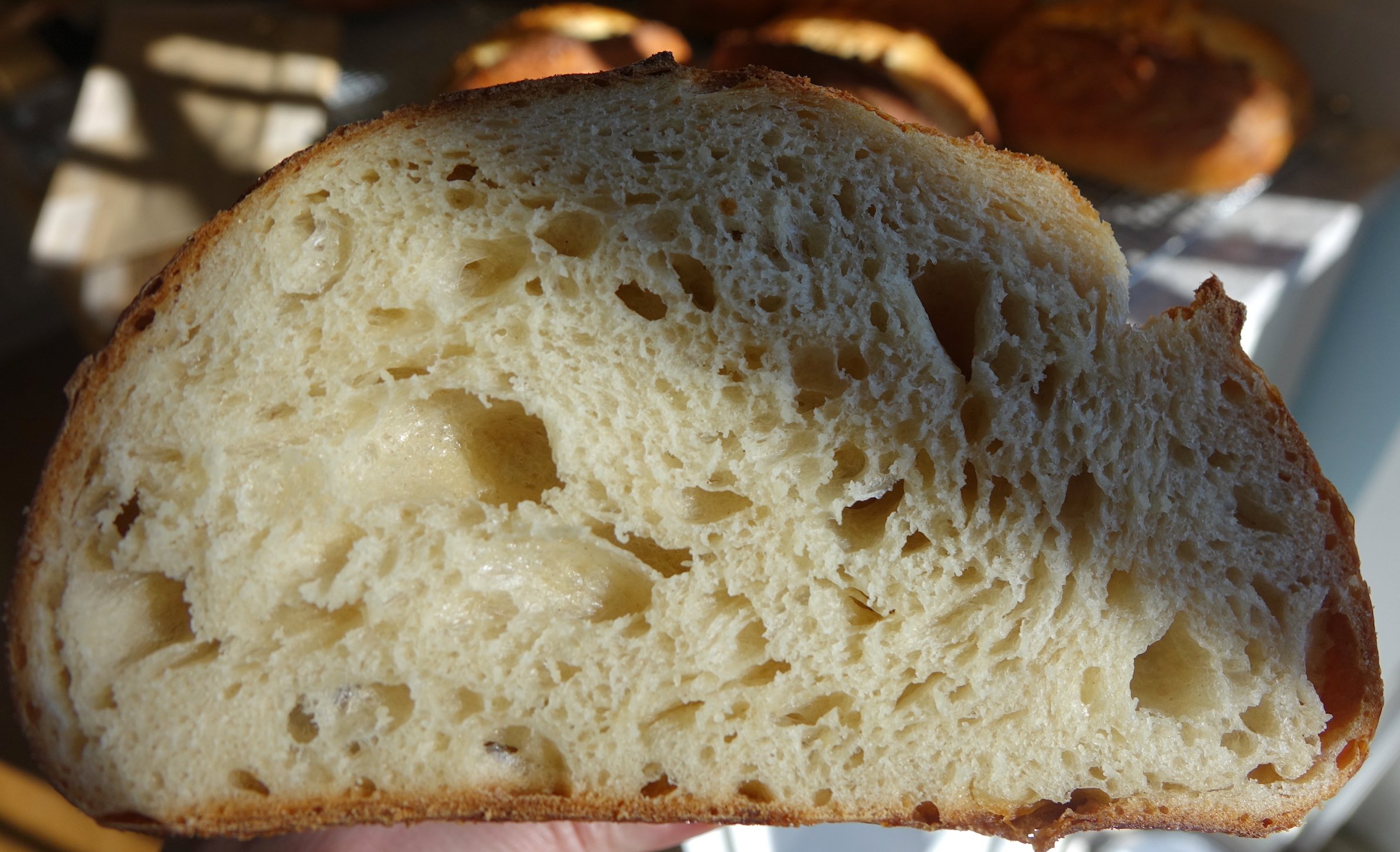 Autumn Maple Rye cut.jpg