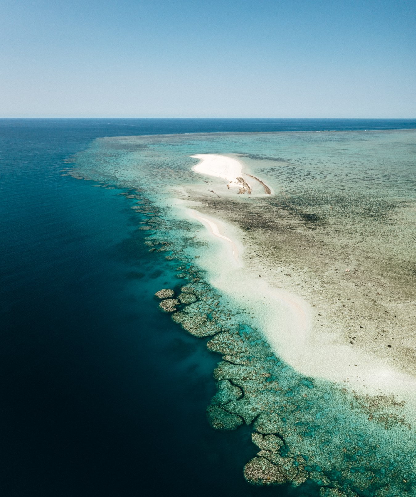 Amazing snorkelling and marine life beneath the water at Davies Reef on the Great Barrier Reef, Australia.