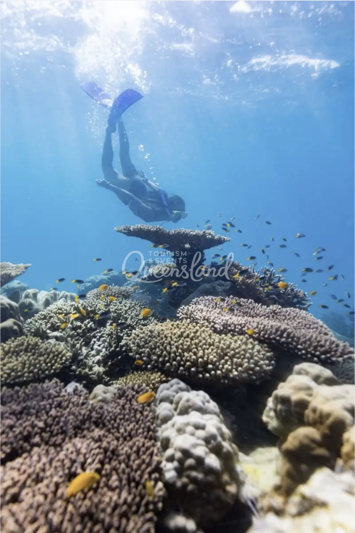 Screenshot 2026-02-20 at 2.16.47 pm.png