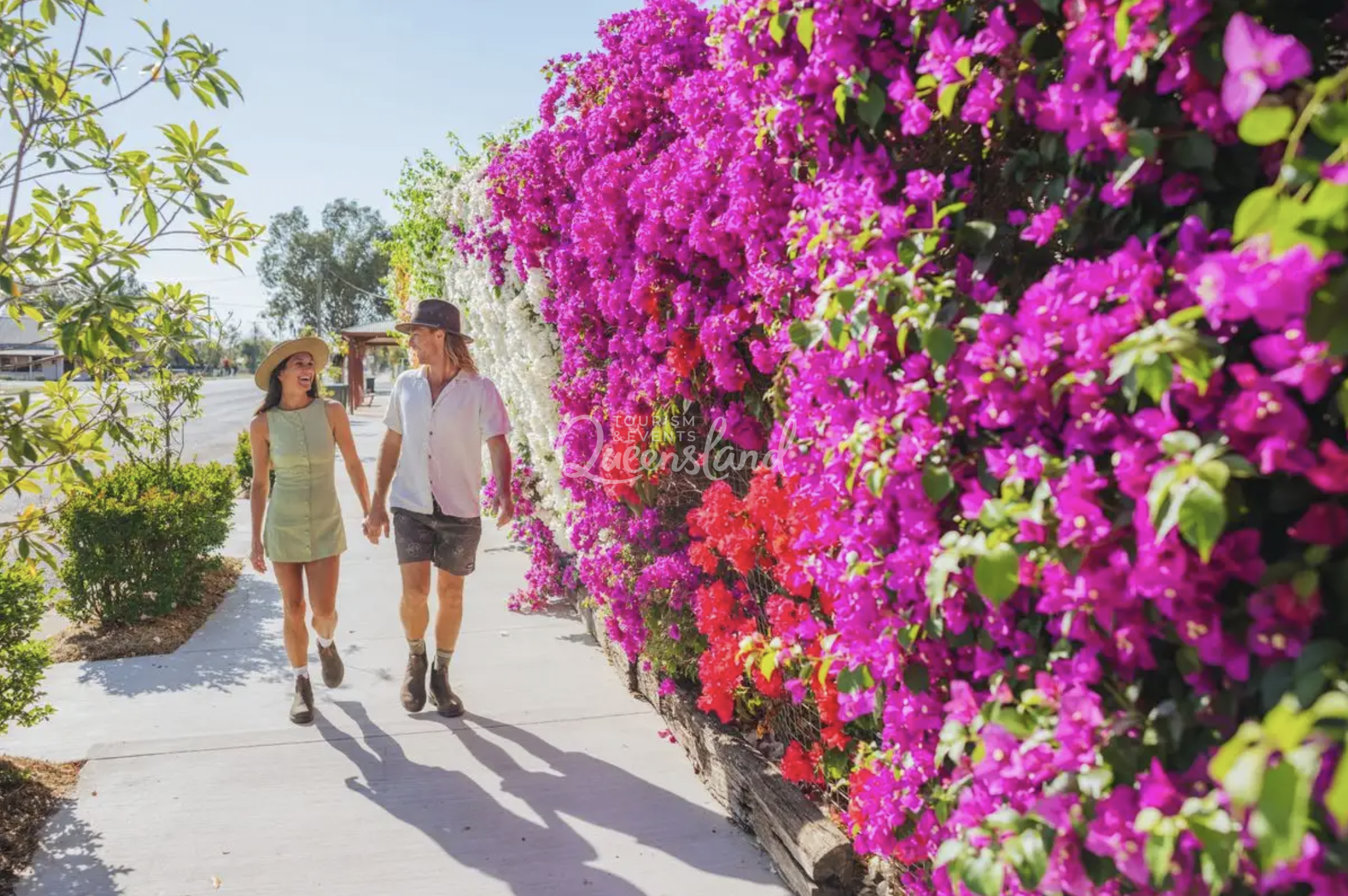 Screenshot 2026-02-20 at 2.29.06 pm.png